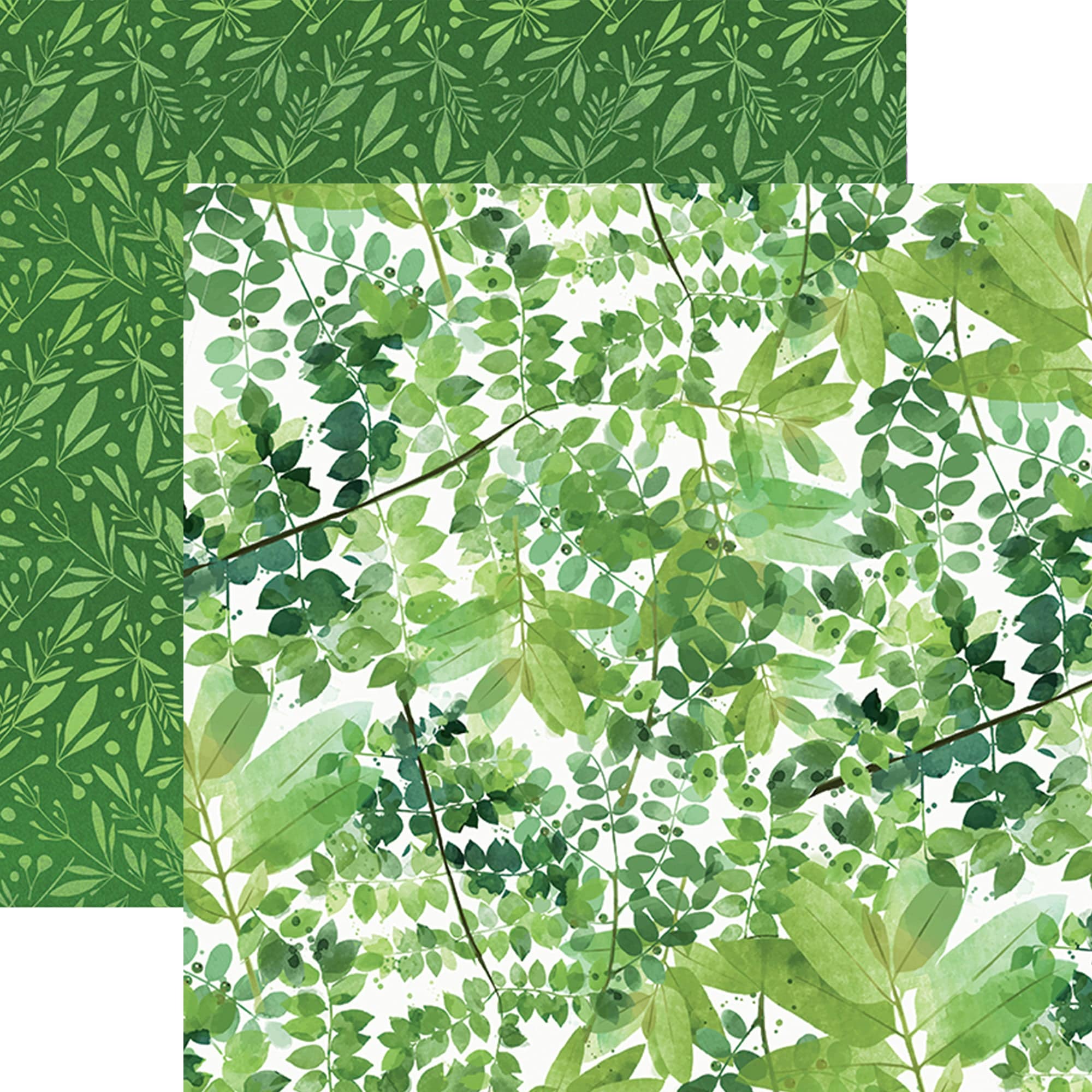  COOL FLORAL COLORWAYS PATTERN 12 X12 SCRAPBOOK PAPER SET、mySite、ghnorth