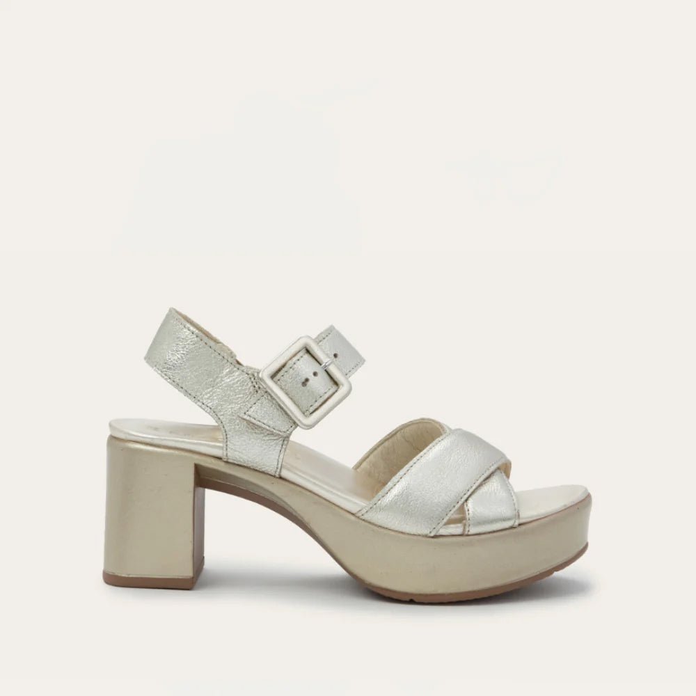  Elite | Leather | Radiant Gold、mySite、preschool7hills