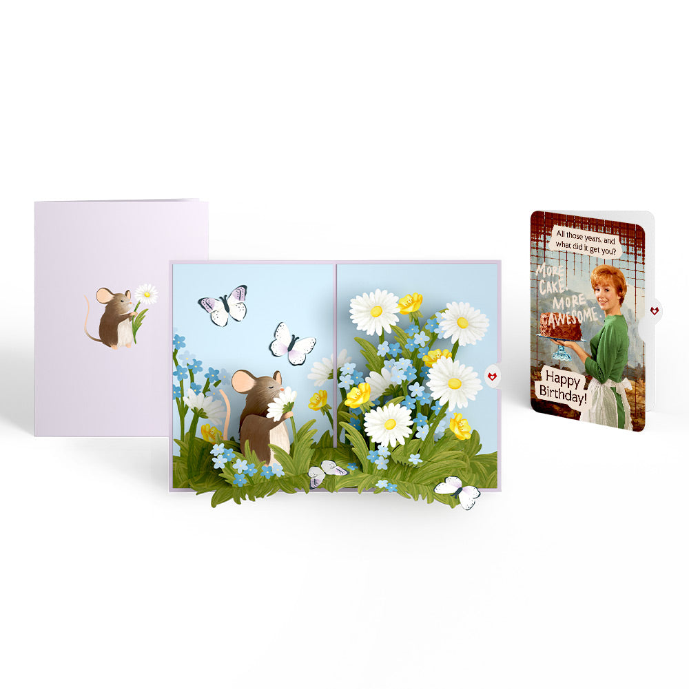 Field Mouse in the Flowers Birthday Pop-Up Card and More Cake More Awesome Sentiment Set、mySite、solidvoid