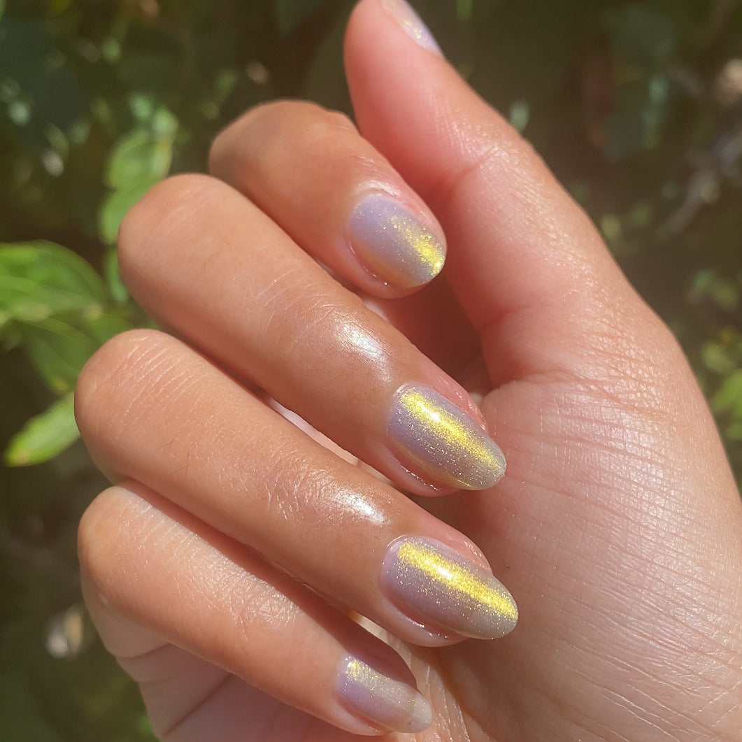 Internal - Shellphone bling、mySite、solidvoid