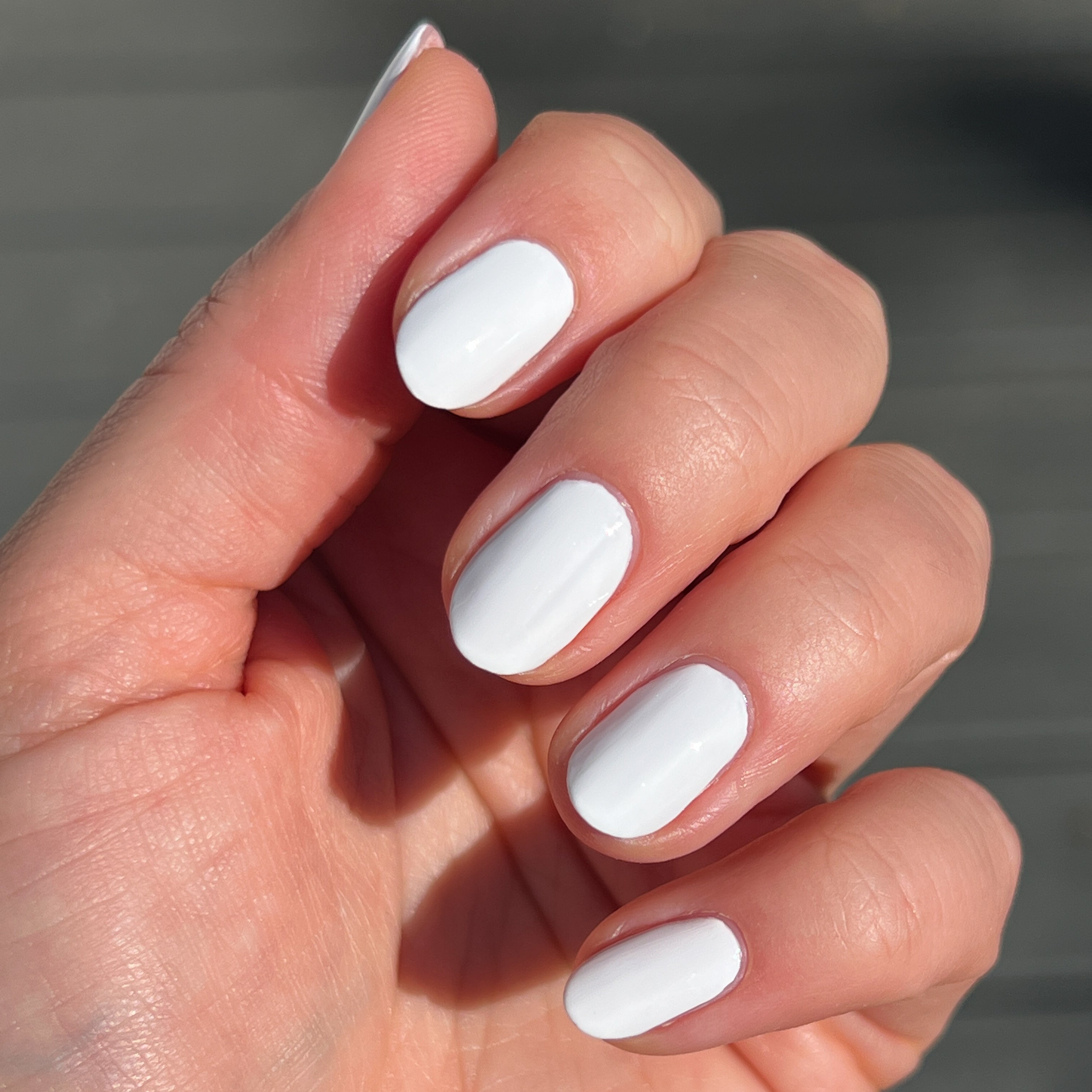 Swan、mySite、solidvoid