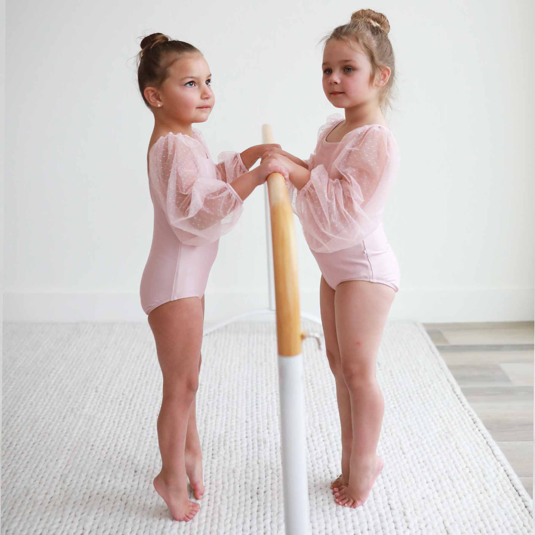  Sheer Long Sleeve Leotard | Mauve、mySite、layawaytickets