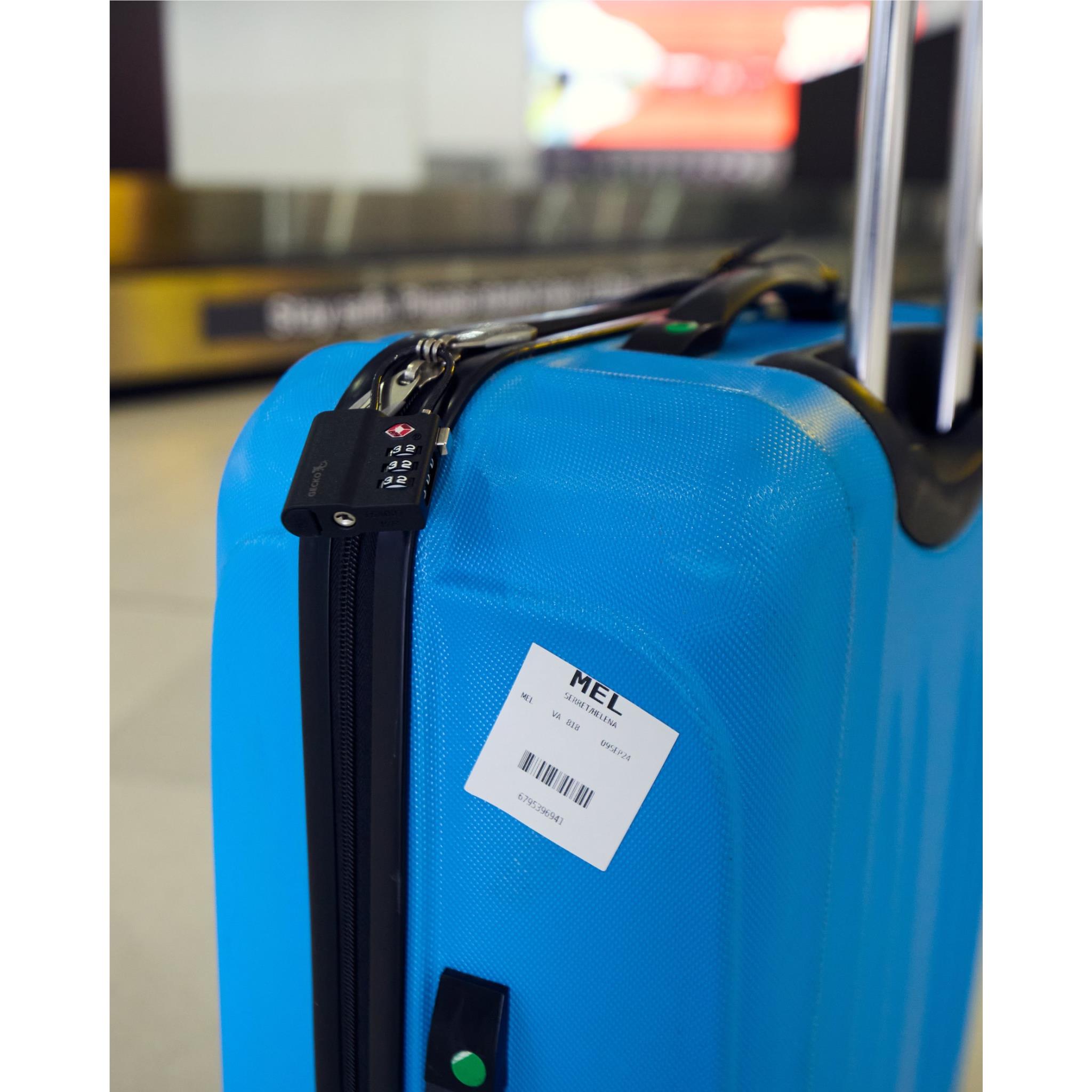 Gecko TSA Smart Lock Bluetooth Tracker、mySite、camillekostekn