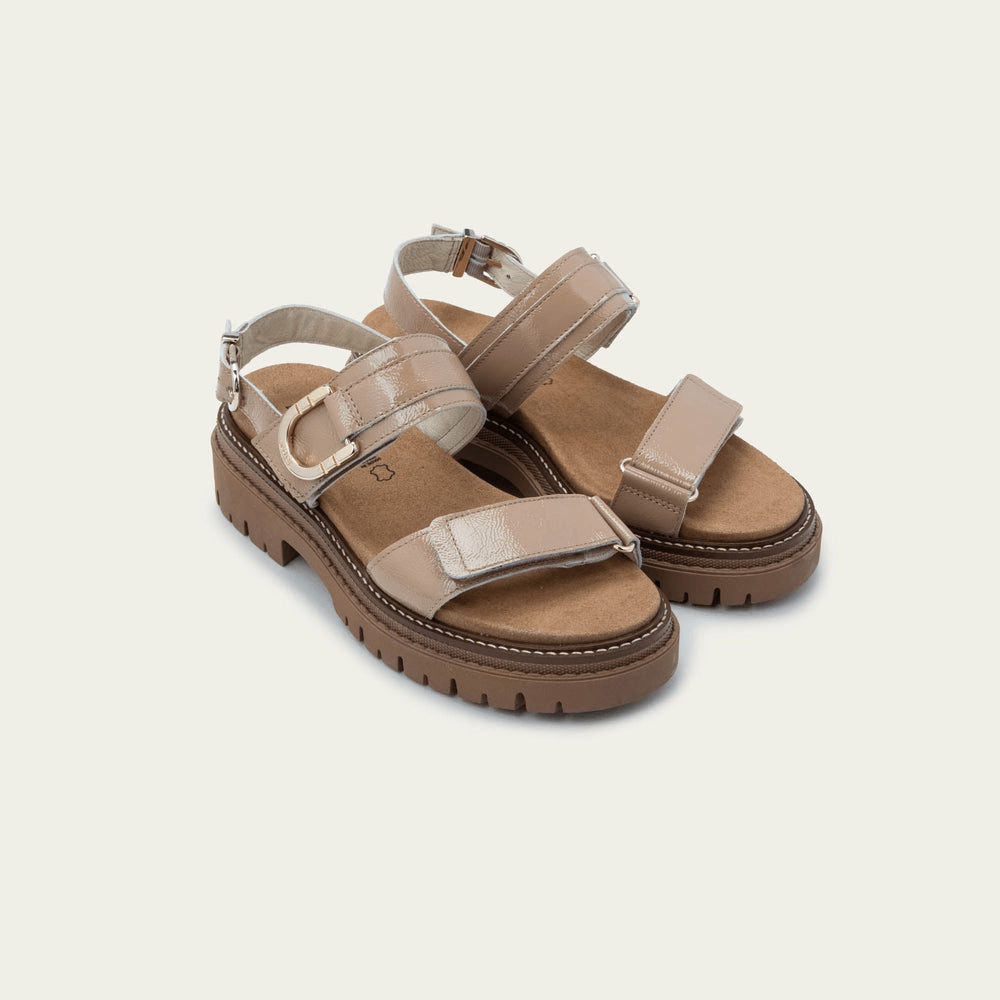  Trinity | Patent | Camel Crinkle、mySite、preschool7hills
