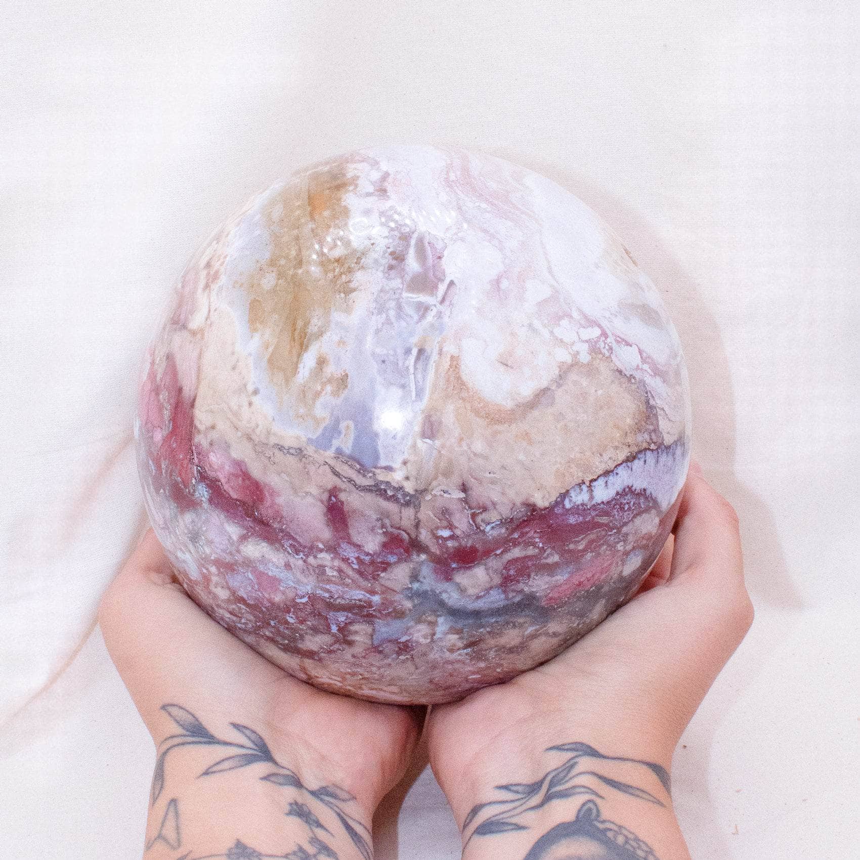 Petrified Wood Sphere - AAA Premium Quality、mySite、hinf8tx79
