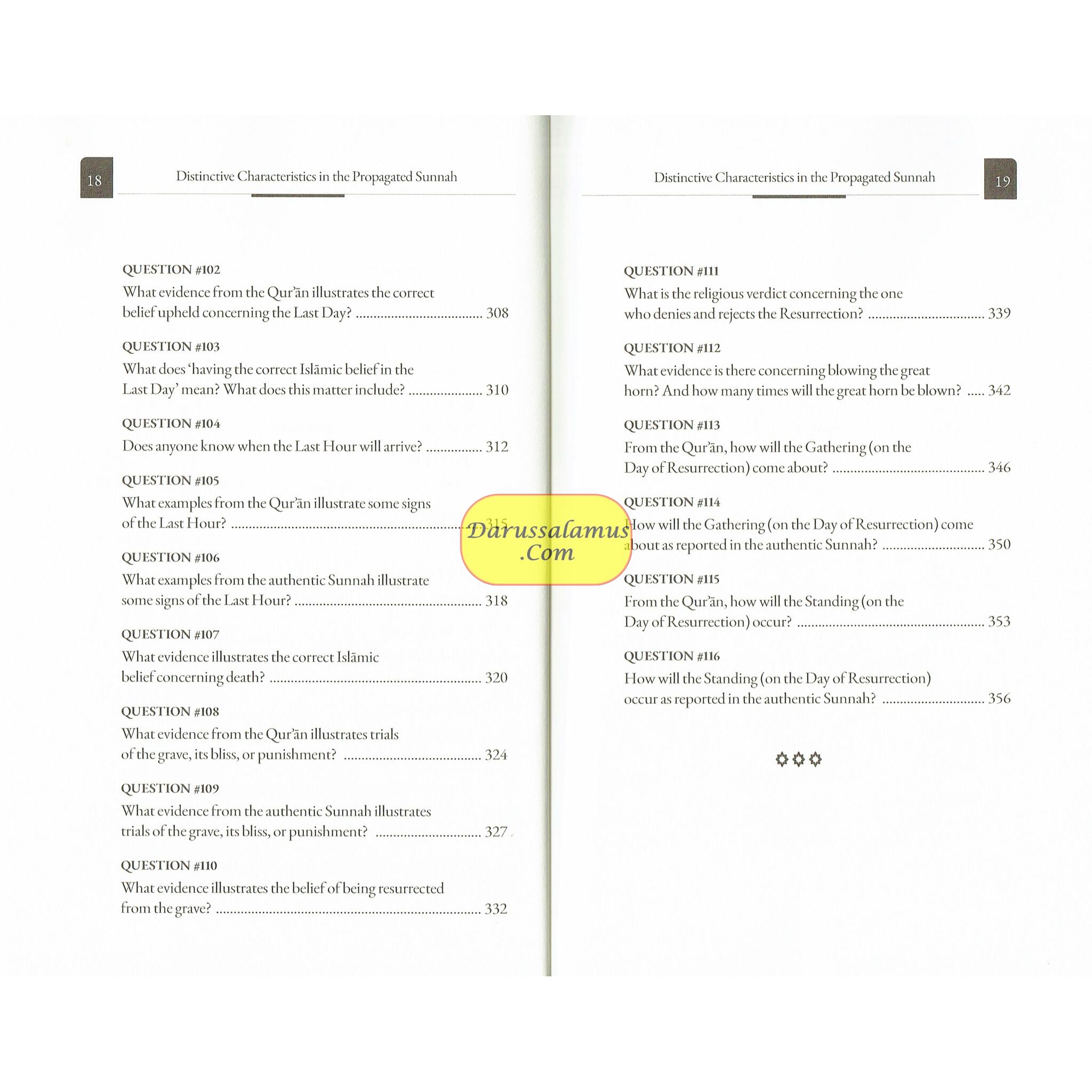 Distinctive Characteristics in the Propagated Sunnah defining the Aqidah of the Saved & Victorious Sect (Vol 1)、mySite、topwebapps