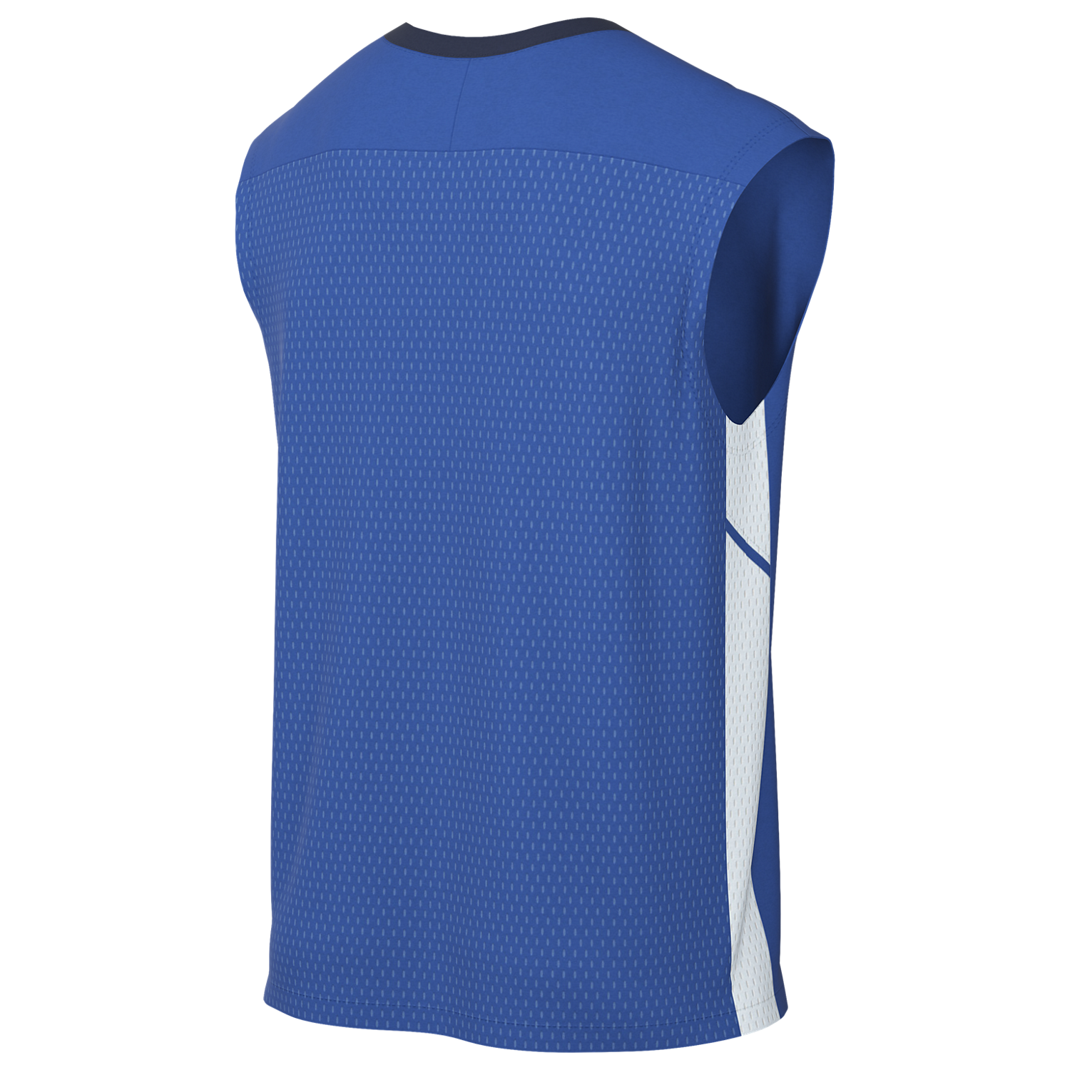 Nike Dri-FIT Academy 25 Sleeveless Jersey - Royal、mySite、noshort
