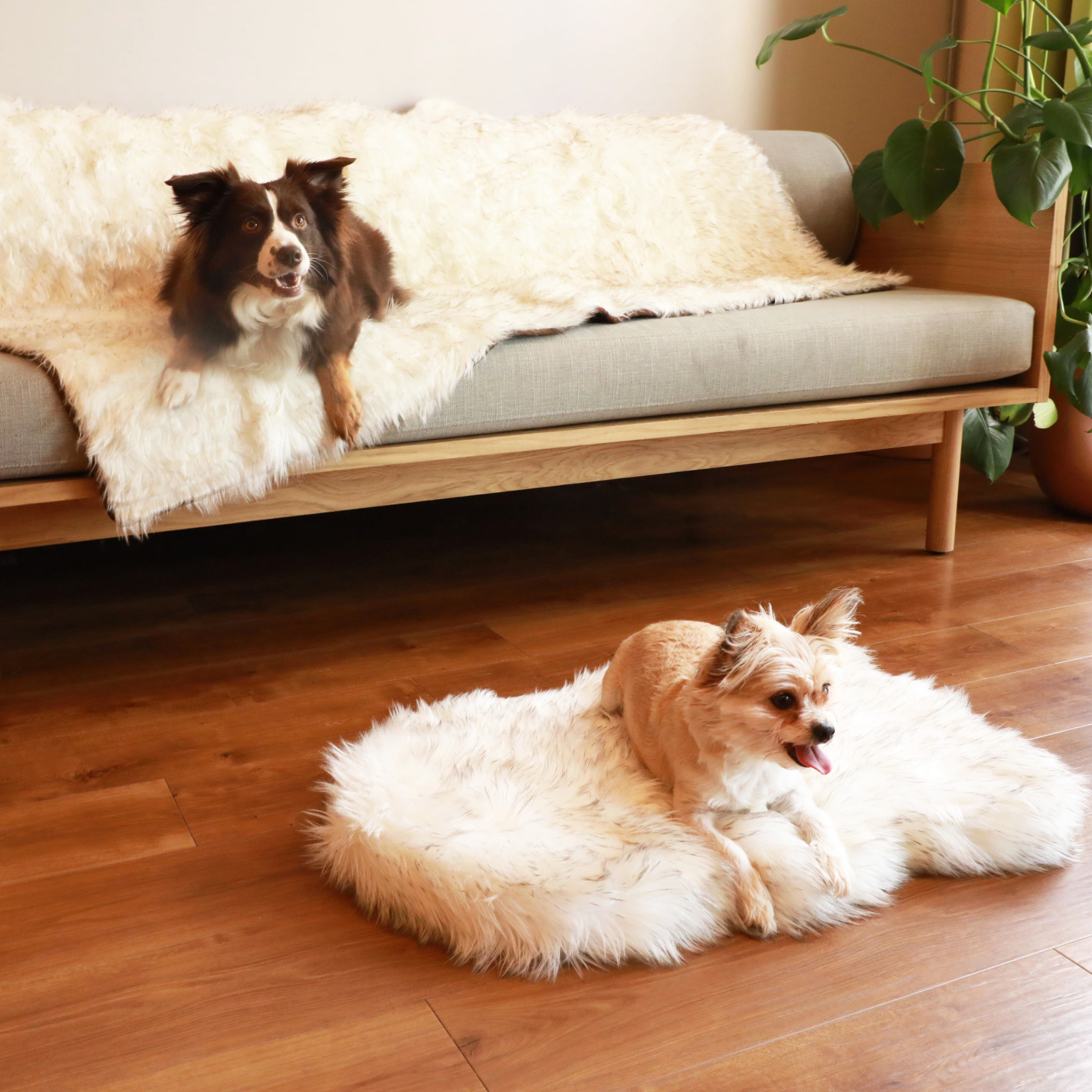 PupRug™ Orthopedic Bed + Matching Waterproof Blanket Bundle - White with Brown Accents、mySite、solidvoid