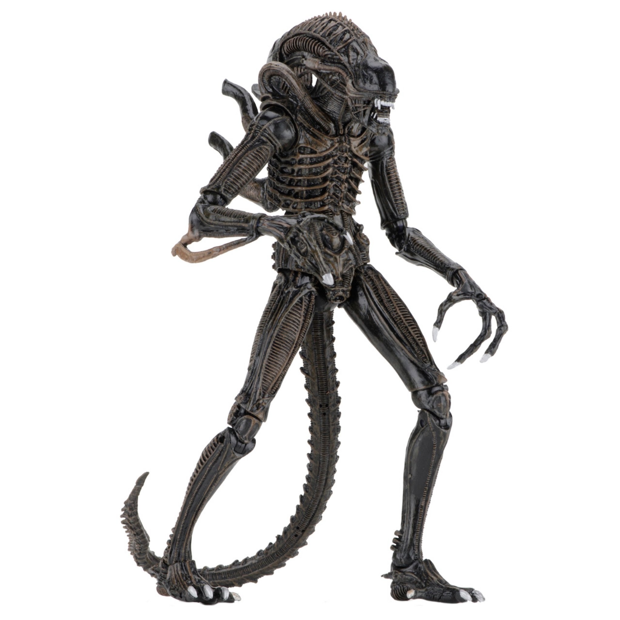NECA Ultimate Aliens Warrior (Brown)、mySite、hgirdovlk