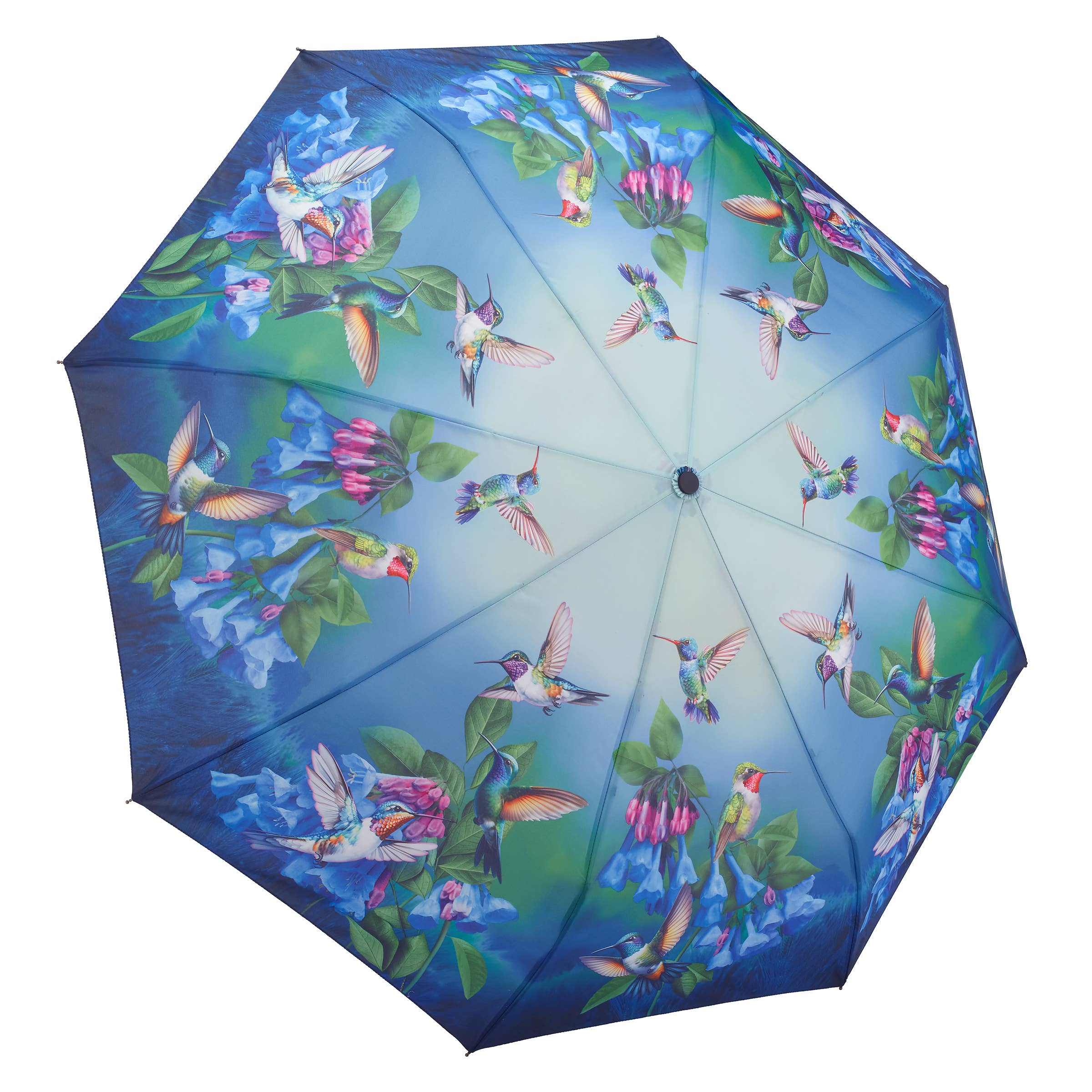 Hummingbirds and Bluebells Beautiful Umbrella、mySite、g9winljtr