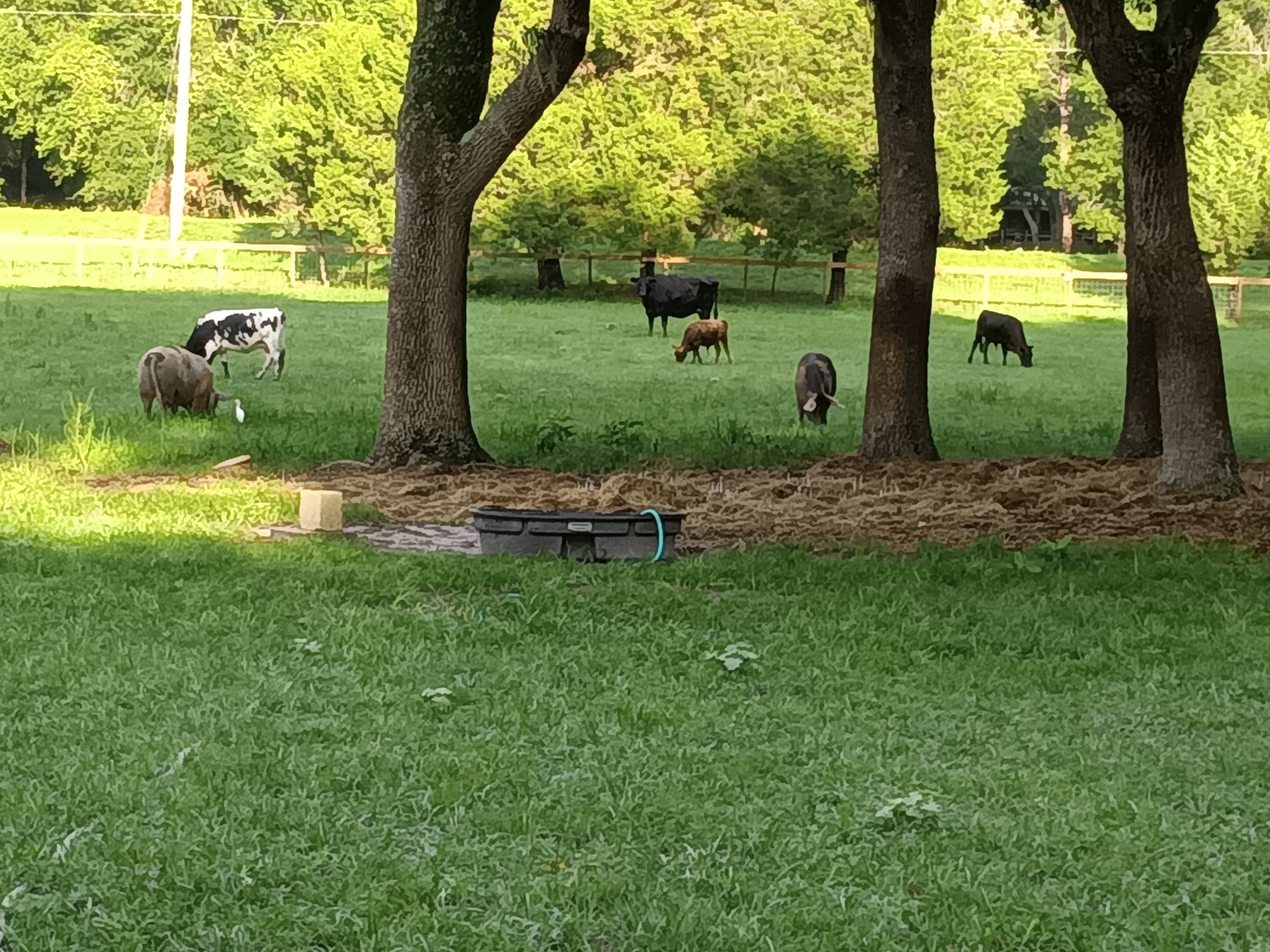 Rooterville Guest Rentals、mySite、g9winljtr