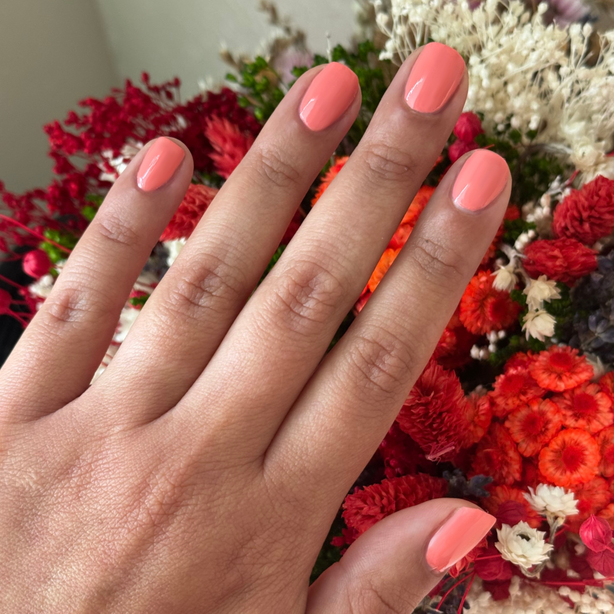 Frolic、mySite、solidvoid