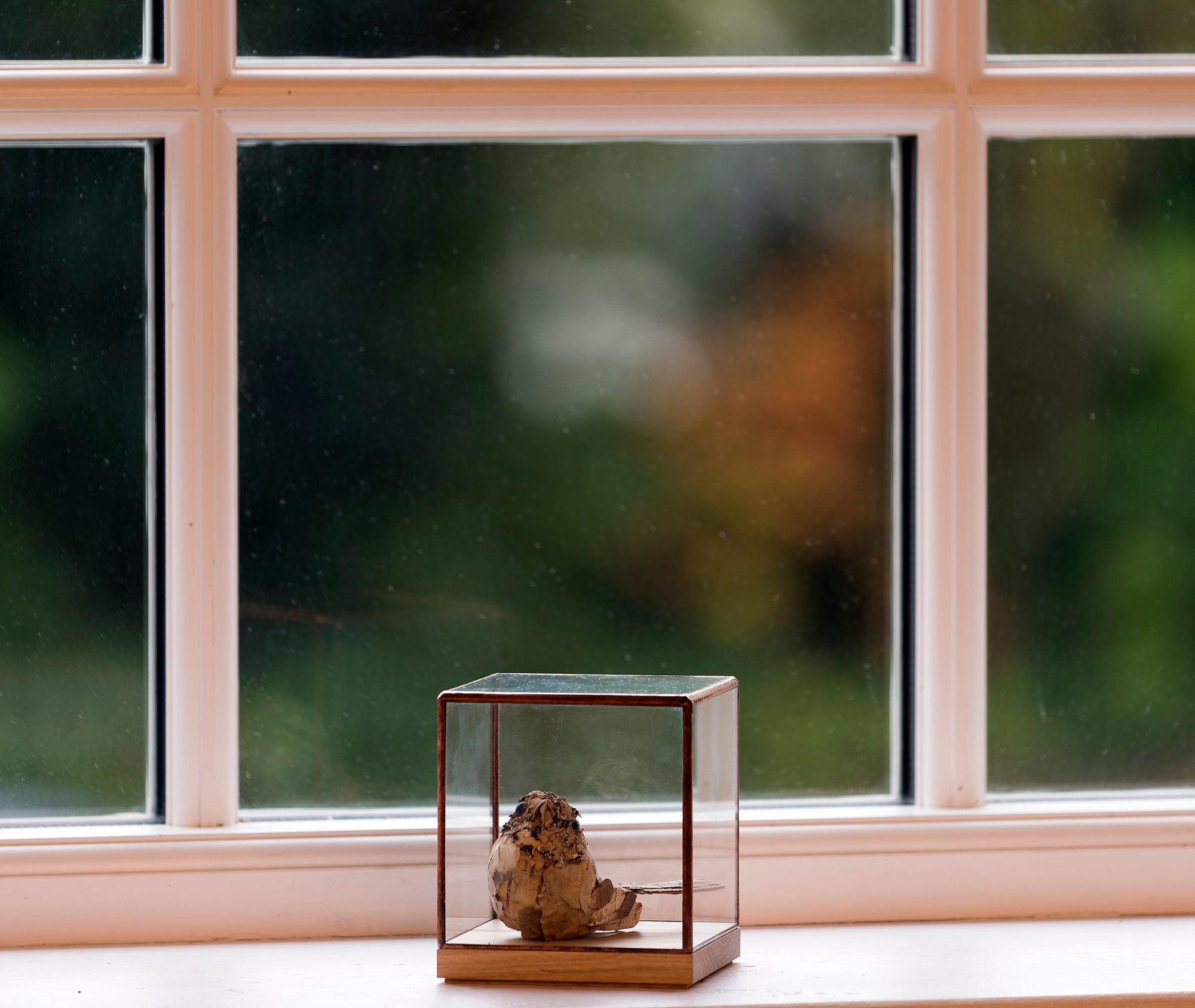 Showcase 100、mySite、topwebapps