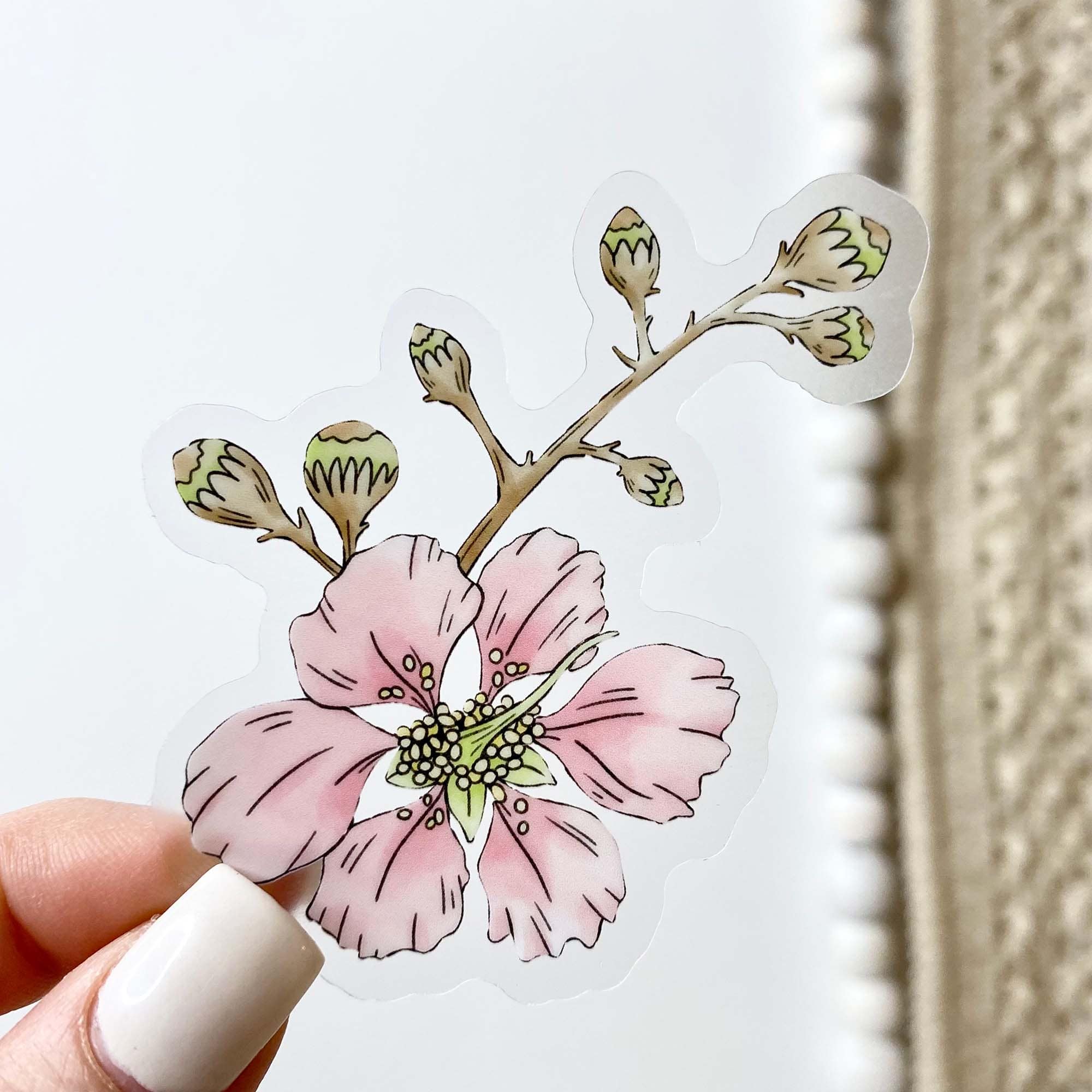  Pride of India - Botanical Clear Sticker、mySite、elrpsem3k