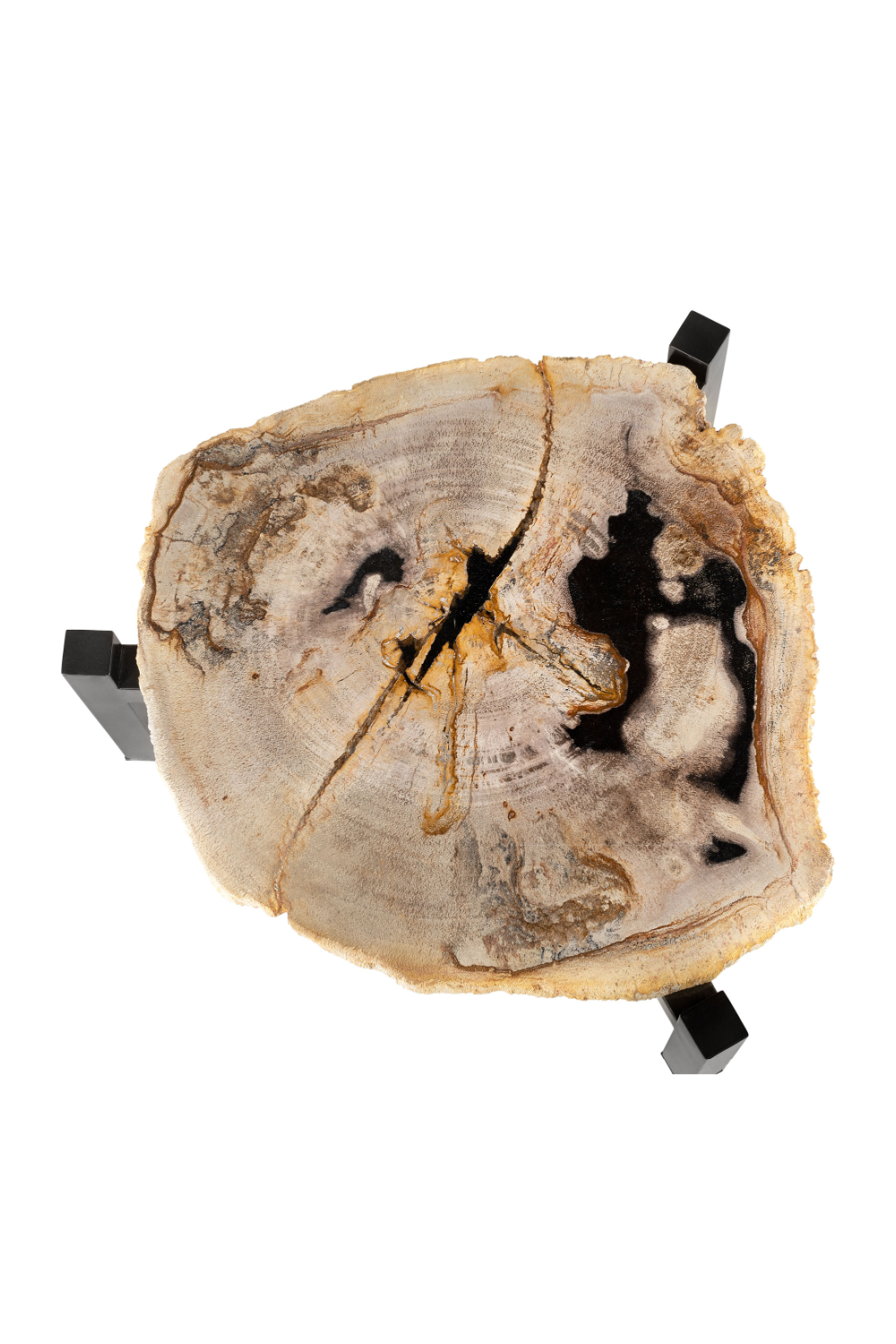 Petrified Wood Nested Coffee Tables (3) | Versmissen、mySite、neckold