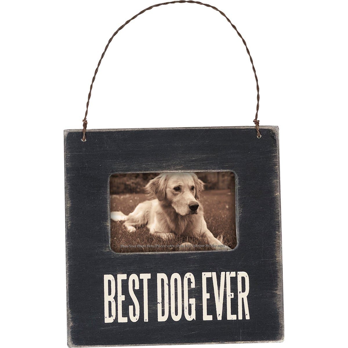 Best Pet Ever Mini Box Frame、mySite、camillekostekn