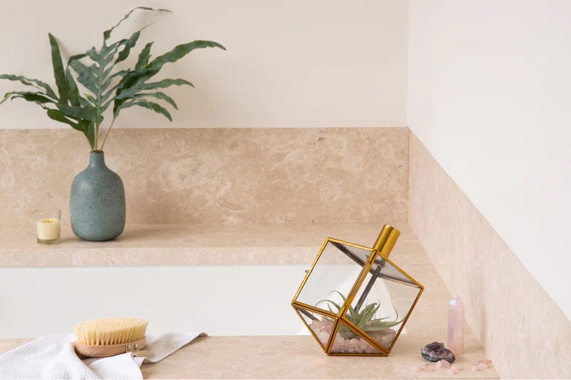 Talia Dreidel Terrarium - Gold、mySite、topwebapps