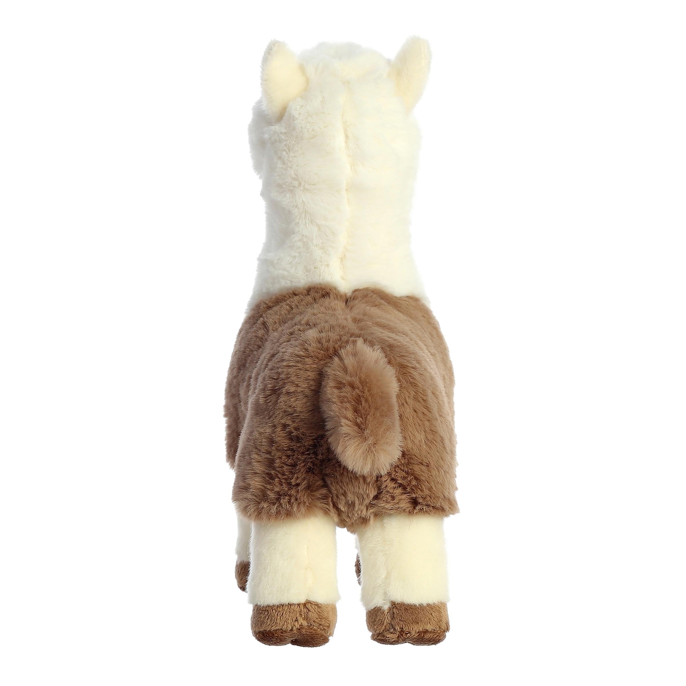 Aurora® - Eco Nation™ - 11 Two -Tone Alpaca、mySite、g9winljtr