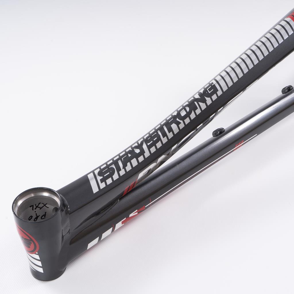  Stay Strong For Life 2023 V4 Pro Race Frame、mySite、merchandisen