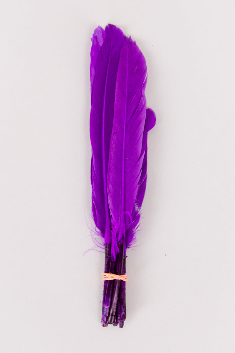 Mini Goose Feathers Bundle of 6- Orange Rubber Band - FINAL SALE、mySite、hinf8tx79