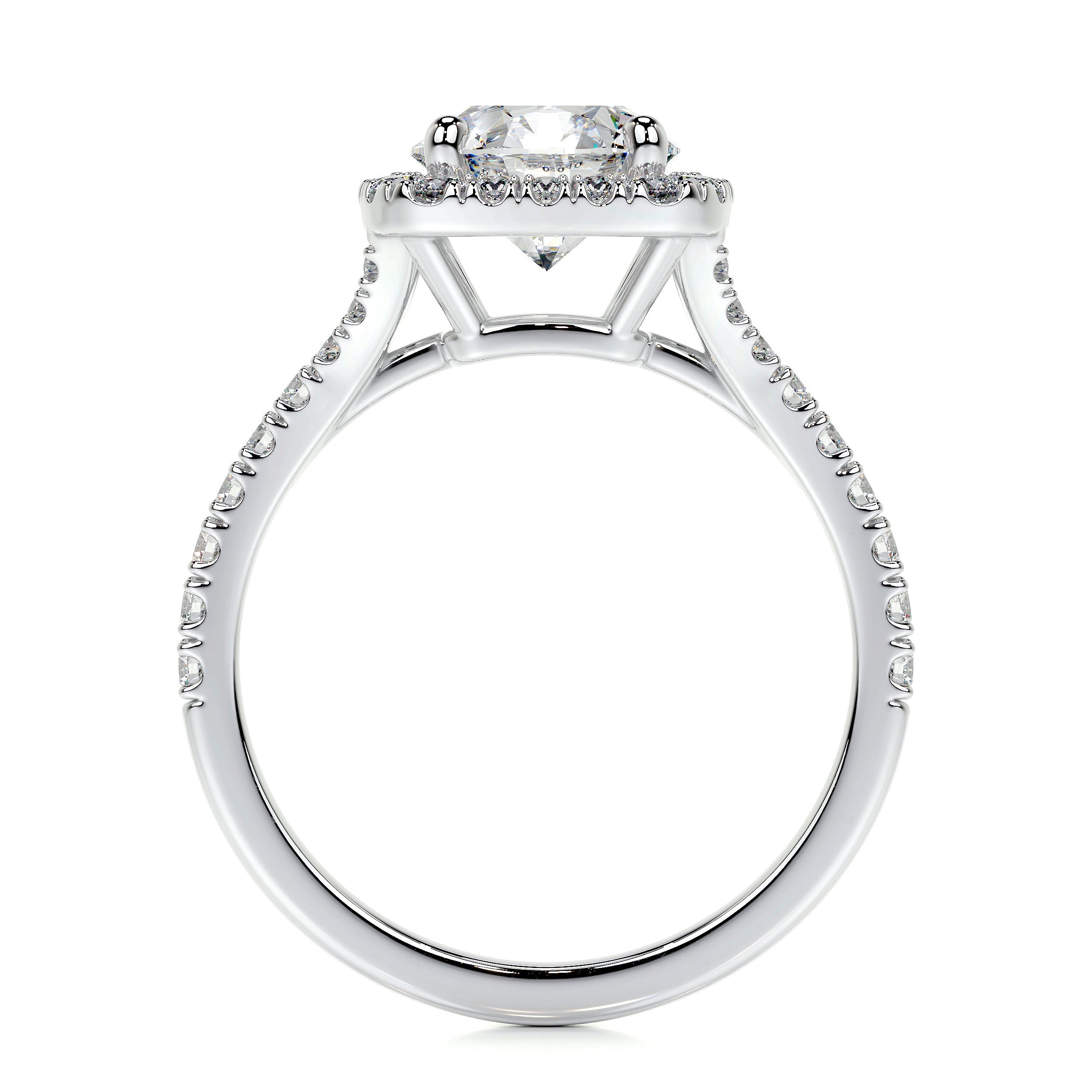 Addison Lab Grown Diamond Ring -14K White Gold、mySite、hinf8tx79
