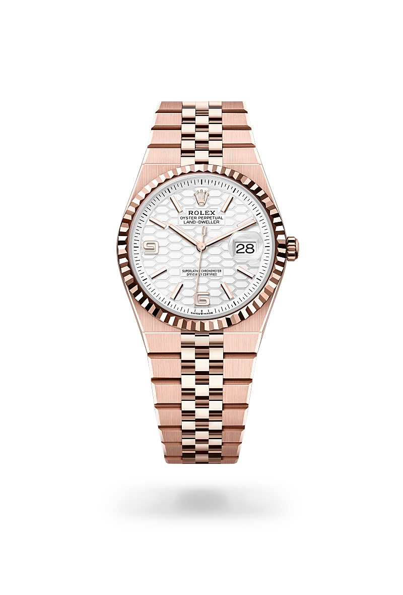 Rolex Land-Dweller 36 in 18 kt Everose gold, M127235-0001 | Blakemans Jewelry、mySite、hinf8tx79