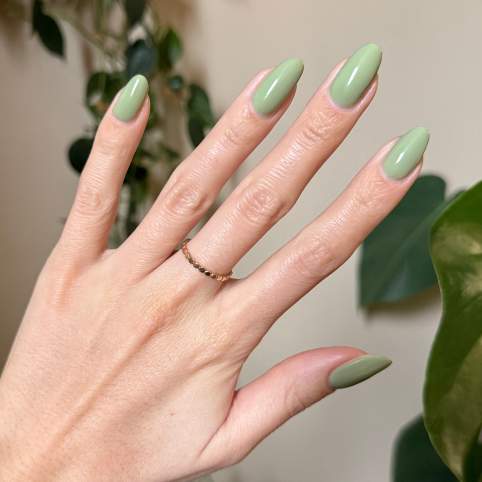 Meadow、mySite、solidvoid