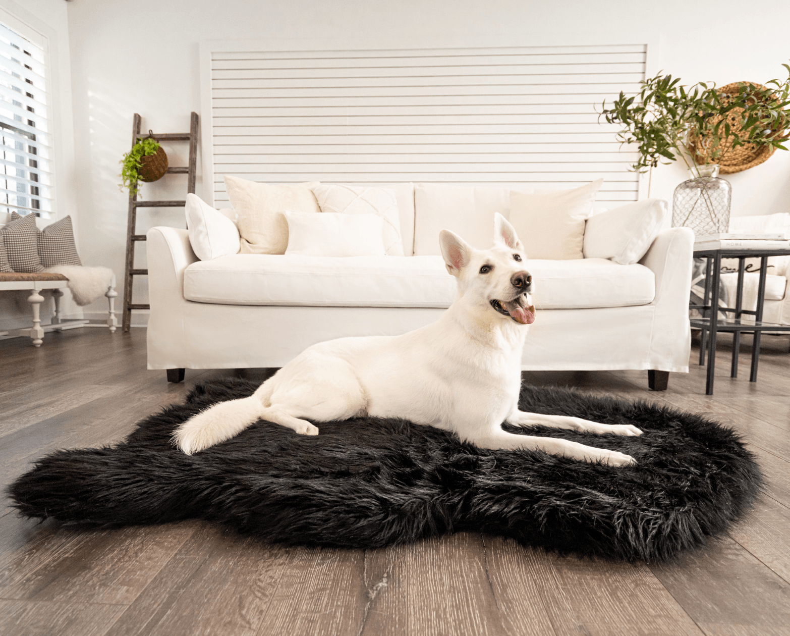 PupRug by Paw.com™ Faux Fur Orthopedic Dog Bed - Curve Midnight Black、mySite、solidvoid
