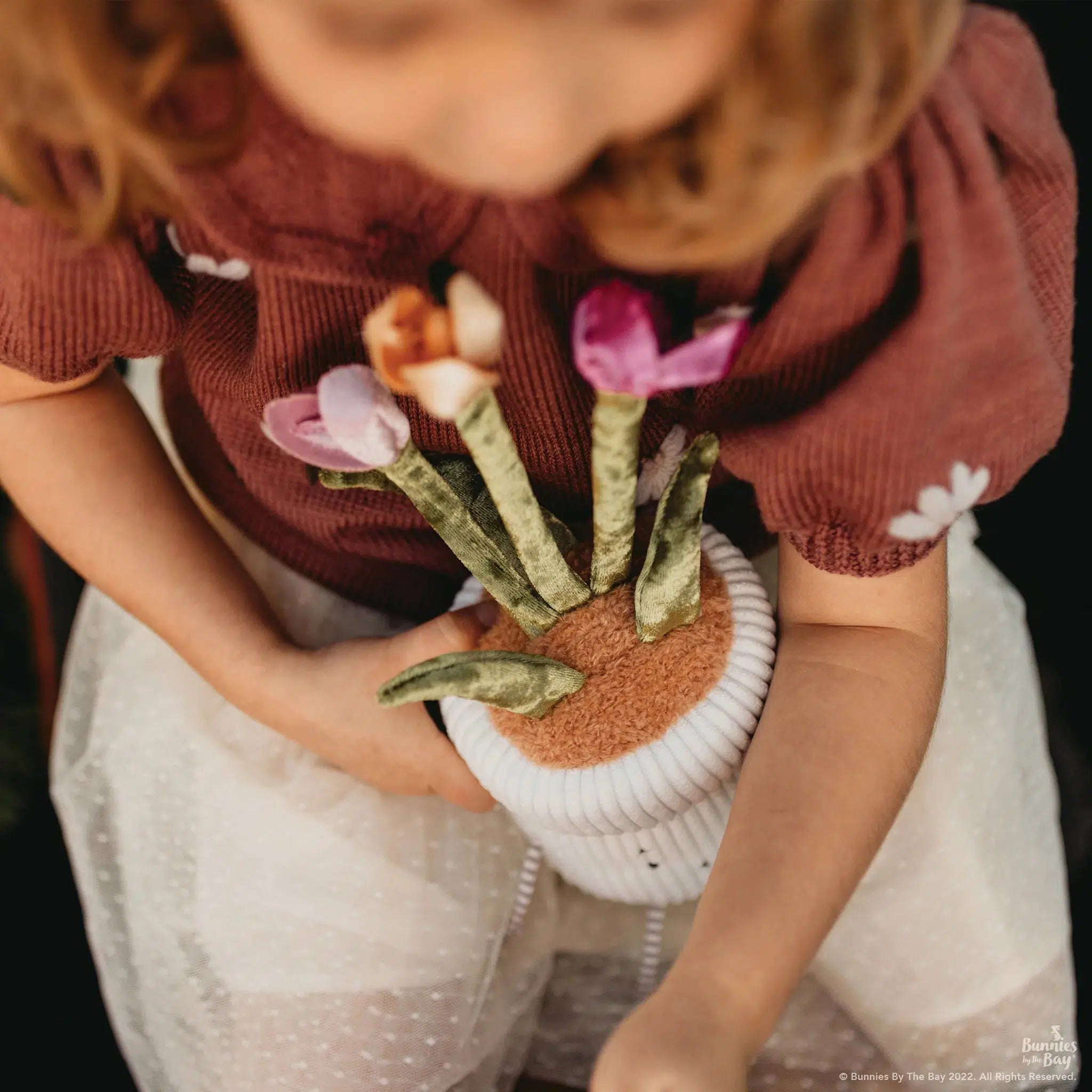 RETIRED - Window Silly- Tulip、mySite、g9winljtr