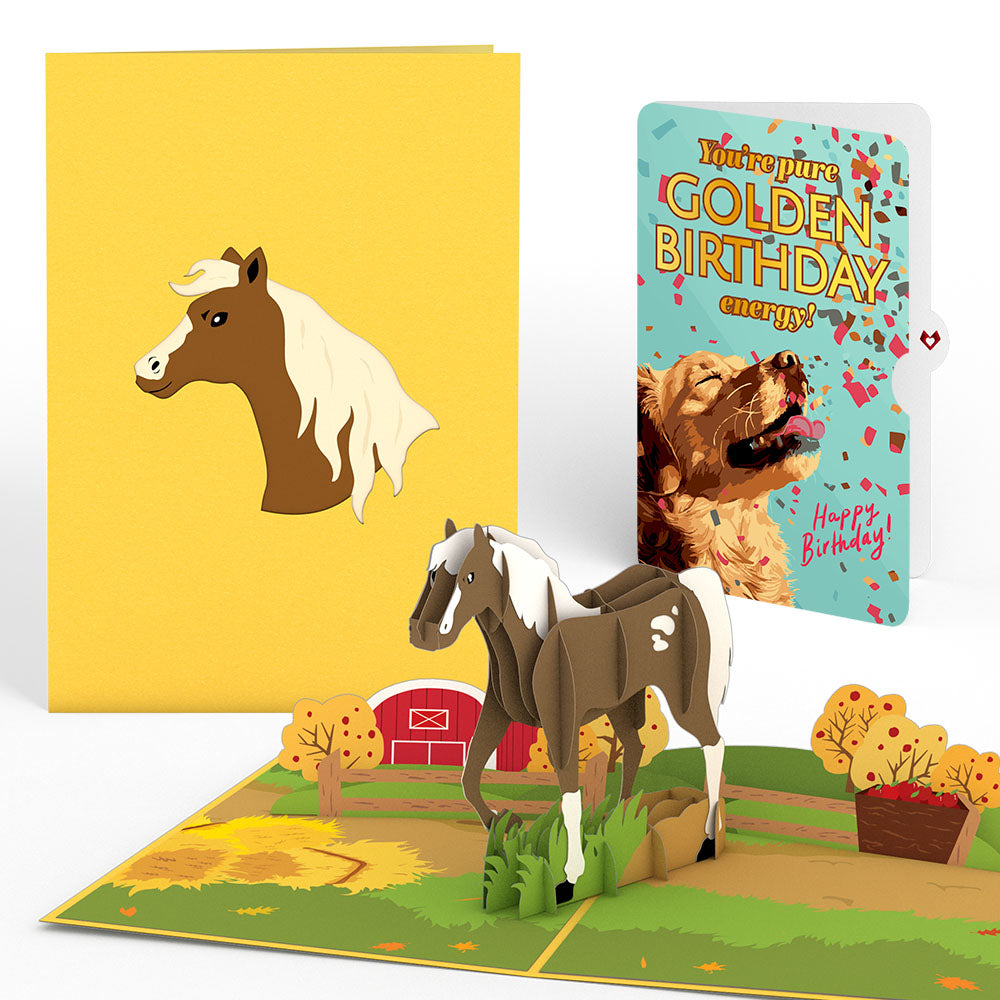 Horse Birthday Pop-Up Card and Golden Energy Sentiment Set、mySite、solidvoid