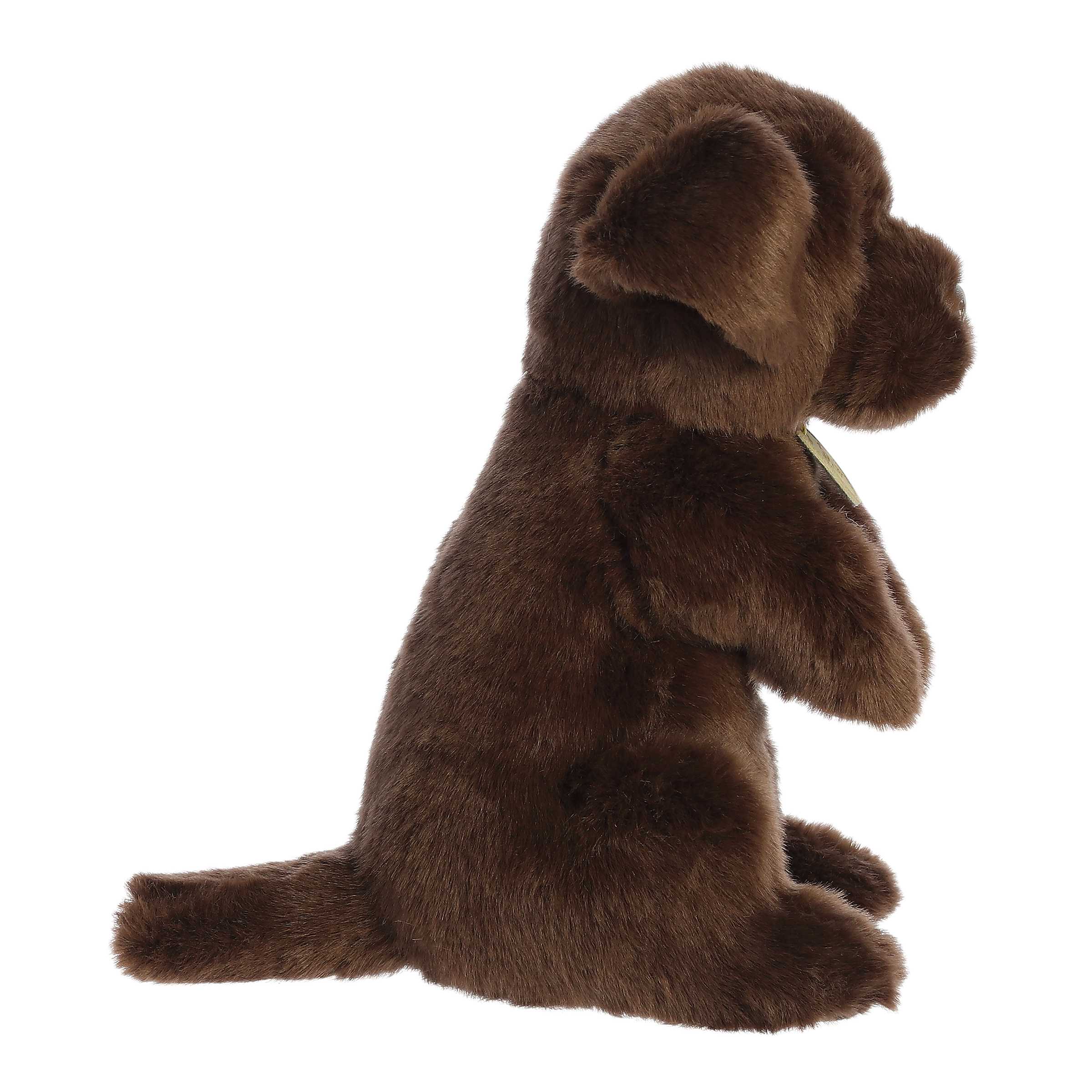Aurora® - Miyoni® Tots - Sitting Pretty™ - 11 Chocolate Lab、mySite、g9winljtr