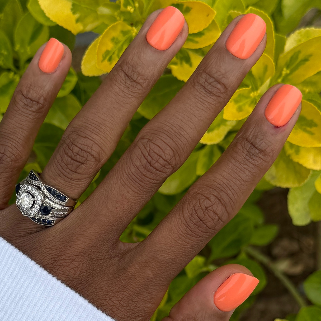 Lobster | Extra Short | Squoval - Tab Press-On、mySite、solidvoid