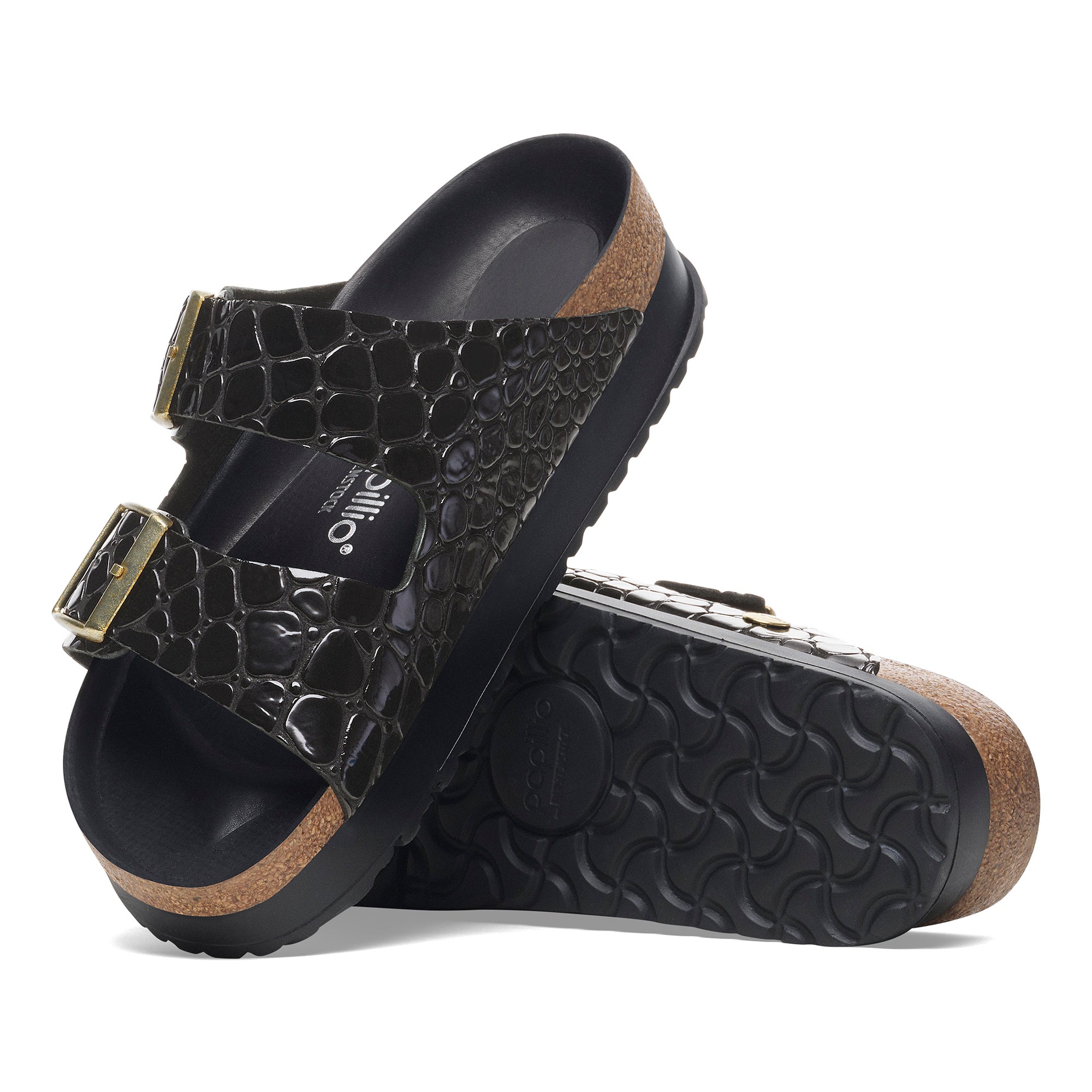  Arizona Platform | Patent | Black Croc、mySite、preschool7hills
