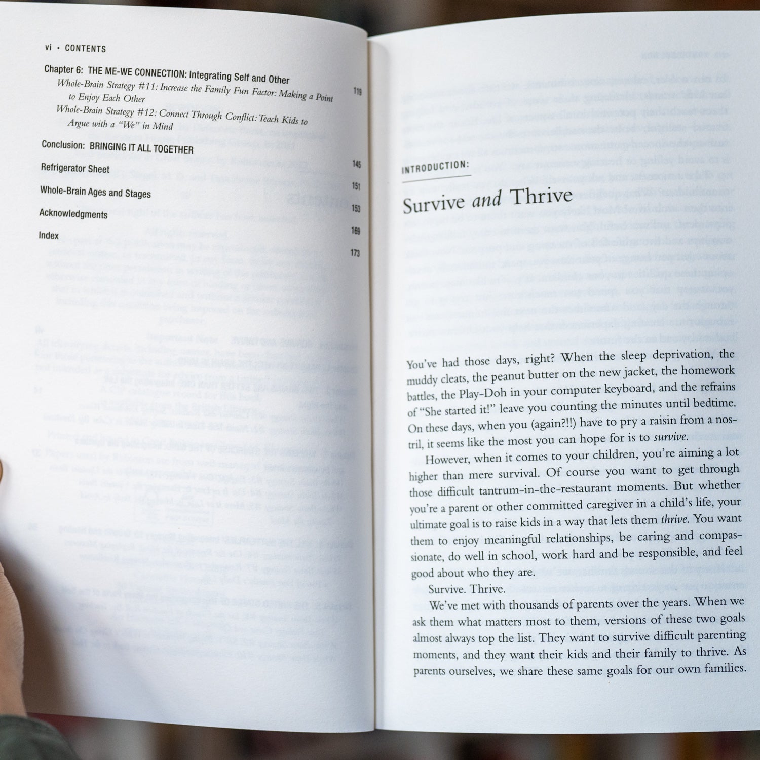 The Whole-Brain Child、mySite、topwebapps