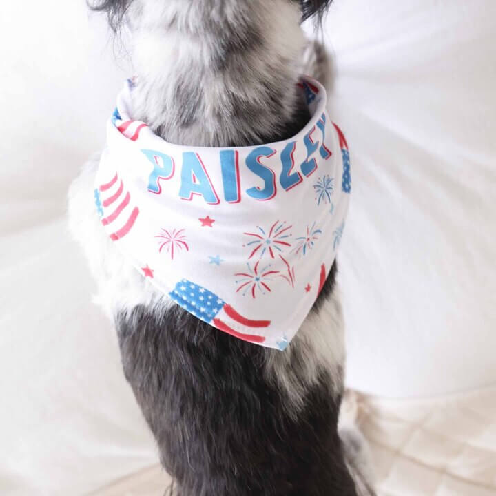  Fireworks & Freedom Personalized Pet Bandana、mySite、layawaytickets
