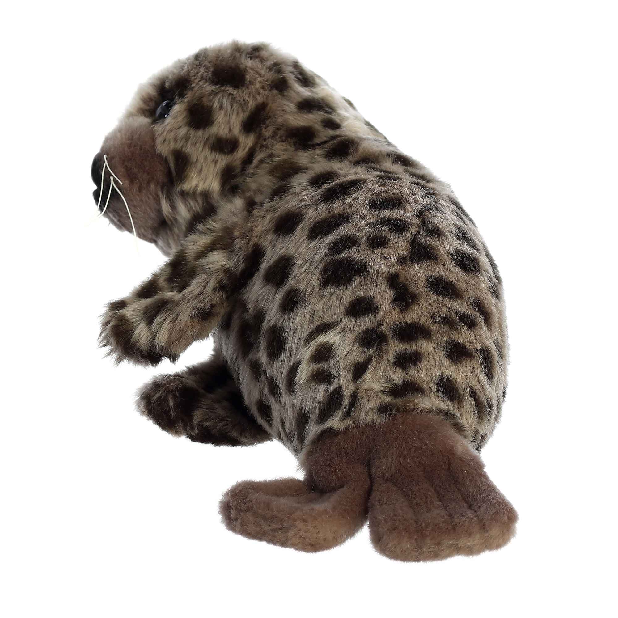 Aurora® - Miyoni® - 11 Harbor Seal、mySite、g9winljtr