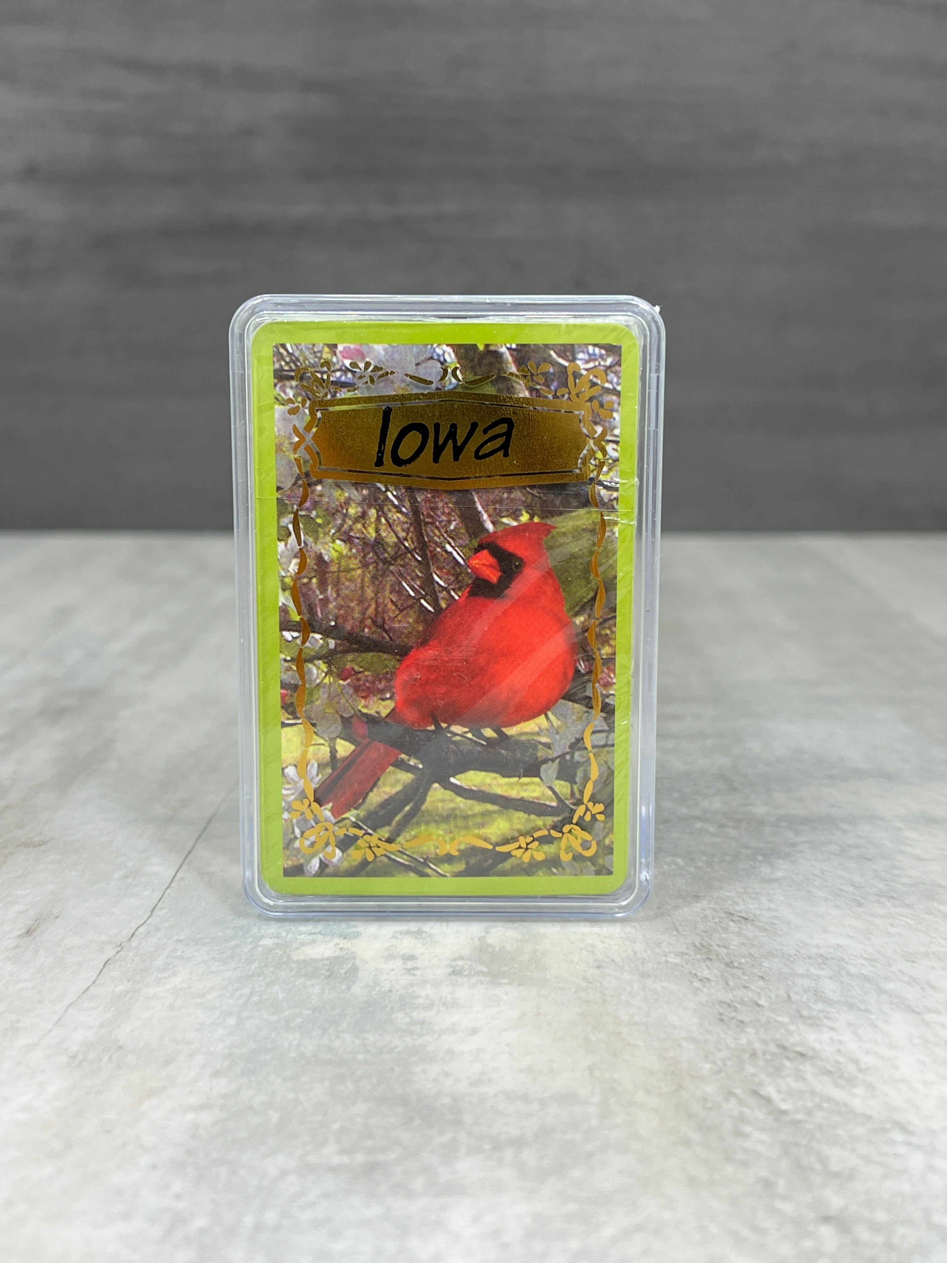 Playing Cards (plastic case)、mySite、garagedoors4me