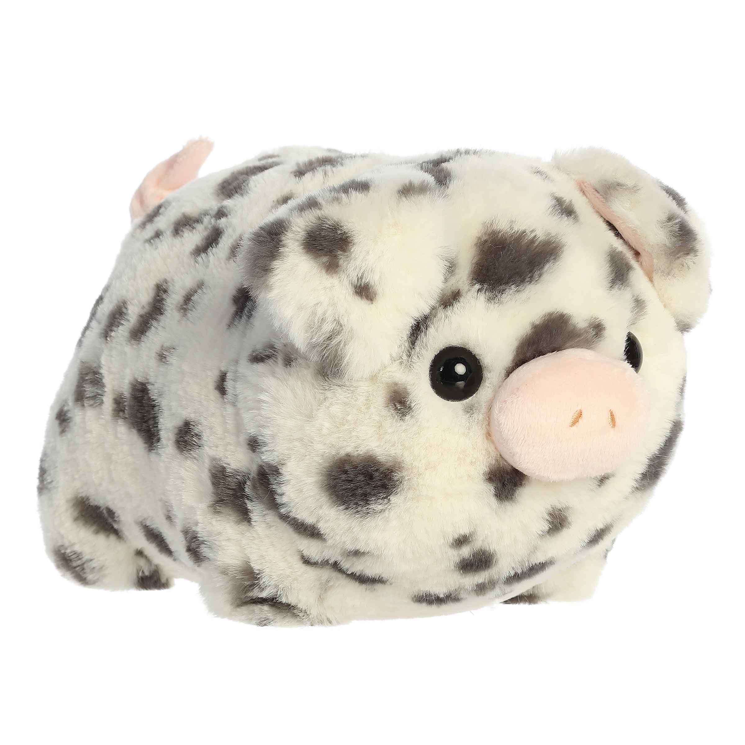 Aurora® - Spudsters™ - 10 Pierre Spotted Pig™、mySite、g9winljtr