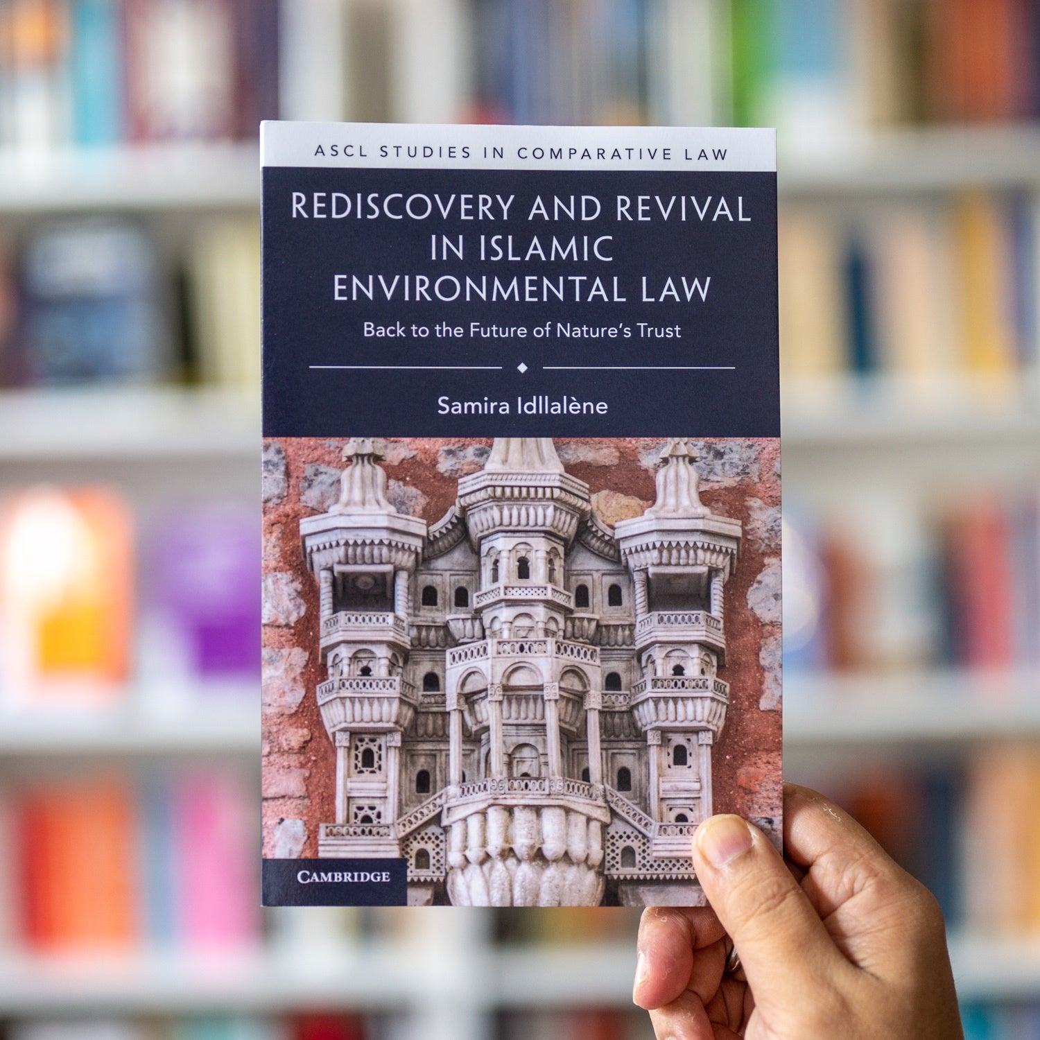 Rediscovery and Revival in Islamic Environmental Law、mySite、topwebapps