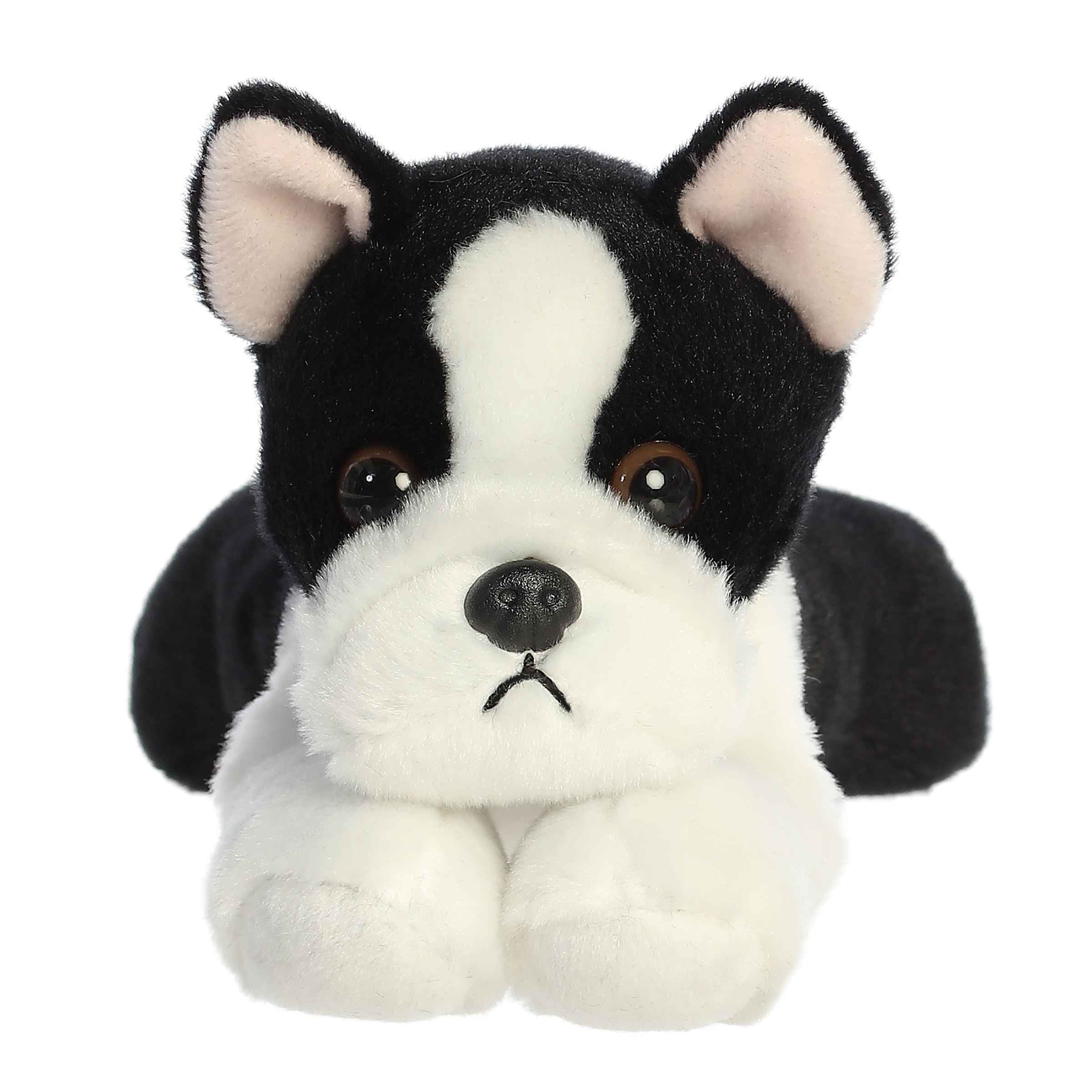 Aurora® - Mini Flopsie™ - 8 Eva Boston Terrier™、mySite、g9winljtr