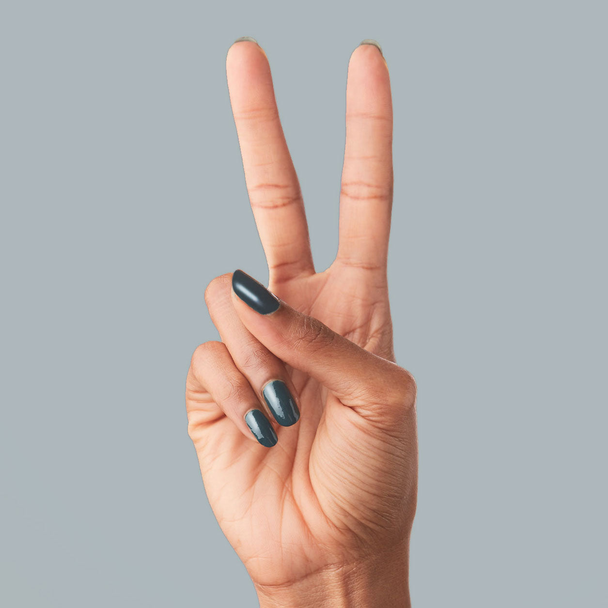 Into the Trees、mySite、solidvoid