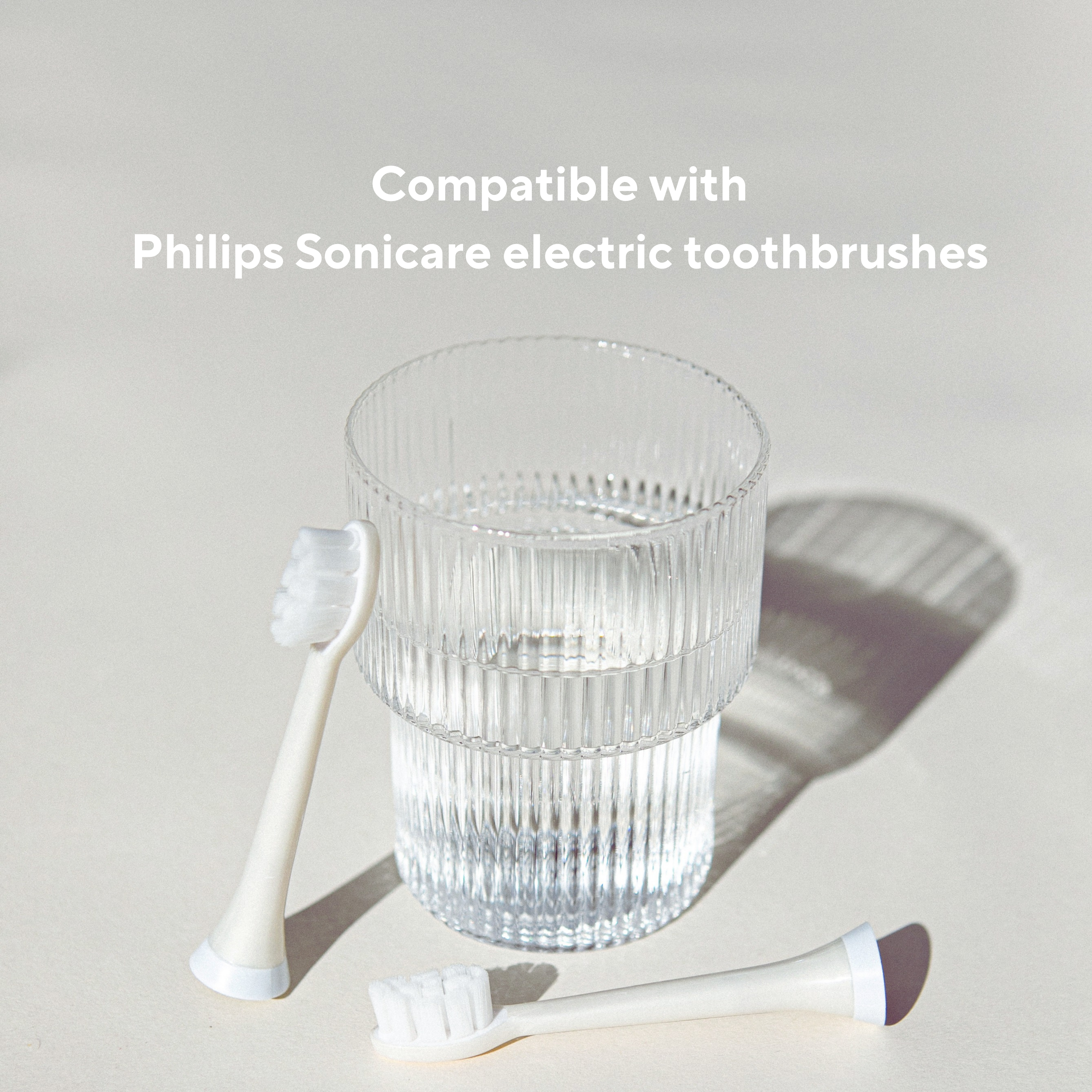 Electric Toothbrush Replacement Heads、mySite、gigharbornorthrealestate