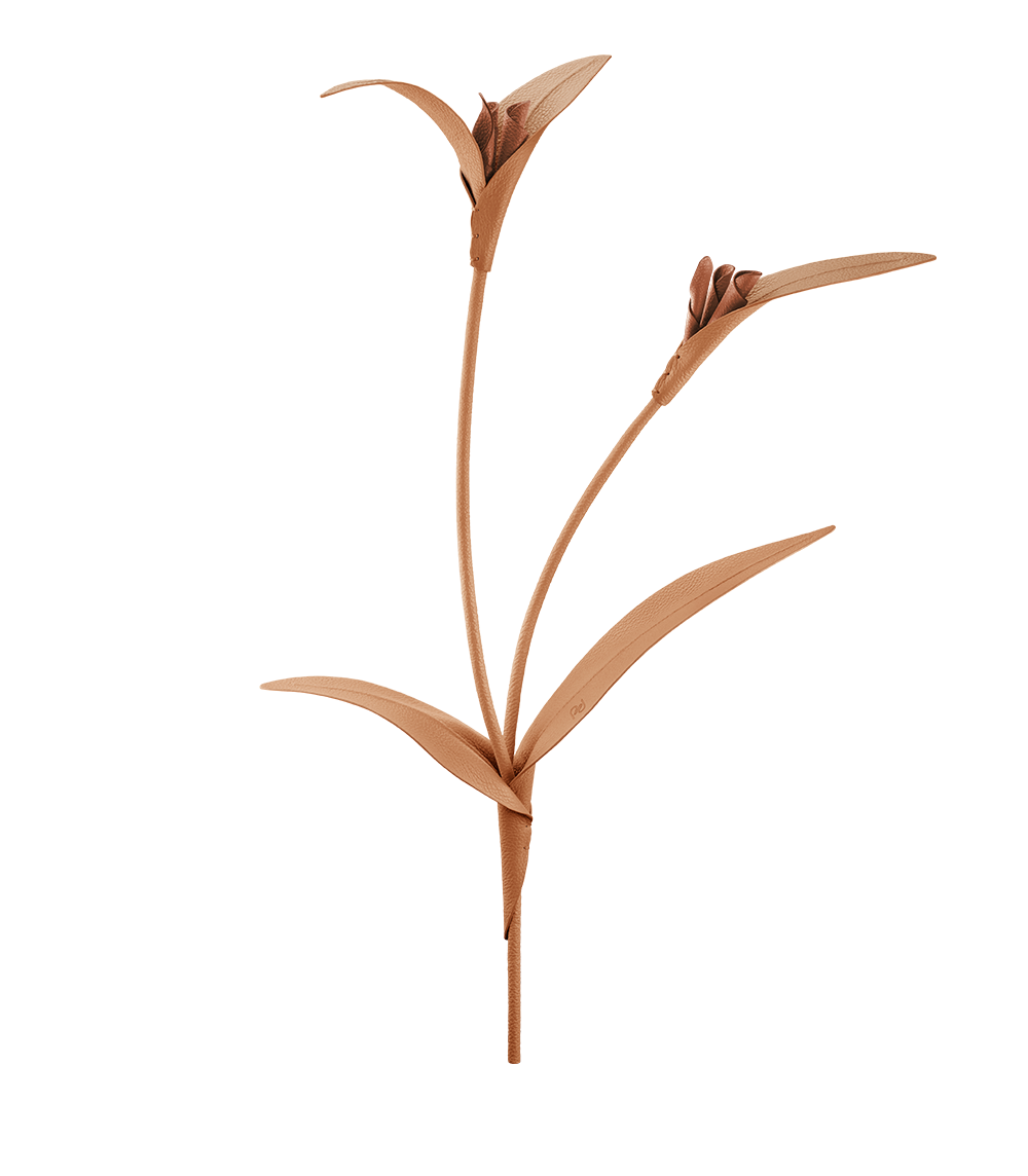 Fleur Touka - Trio Tan Grain茅、mySite、camillekostekn