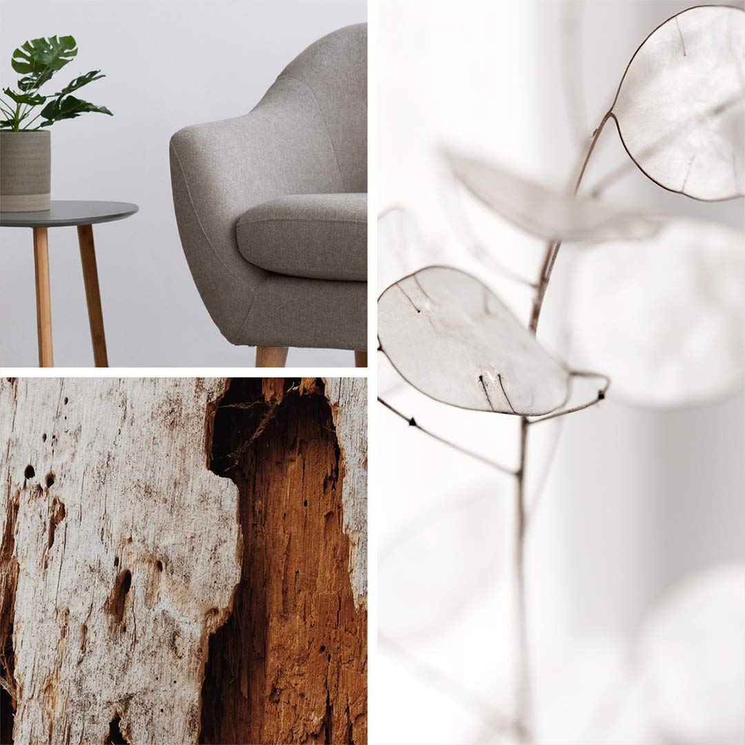 SnuzKot Cot Bed - The Natural Edit - Silver Birch、mySite、merchandisen