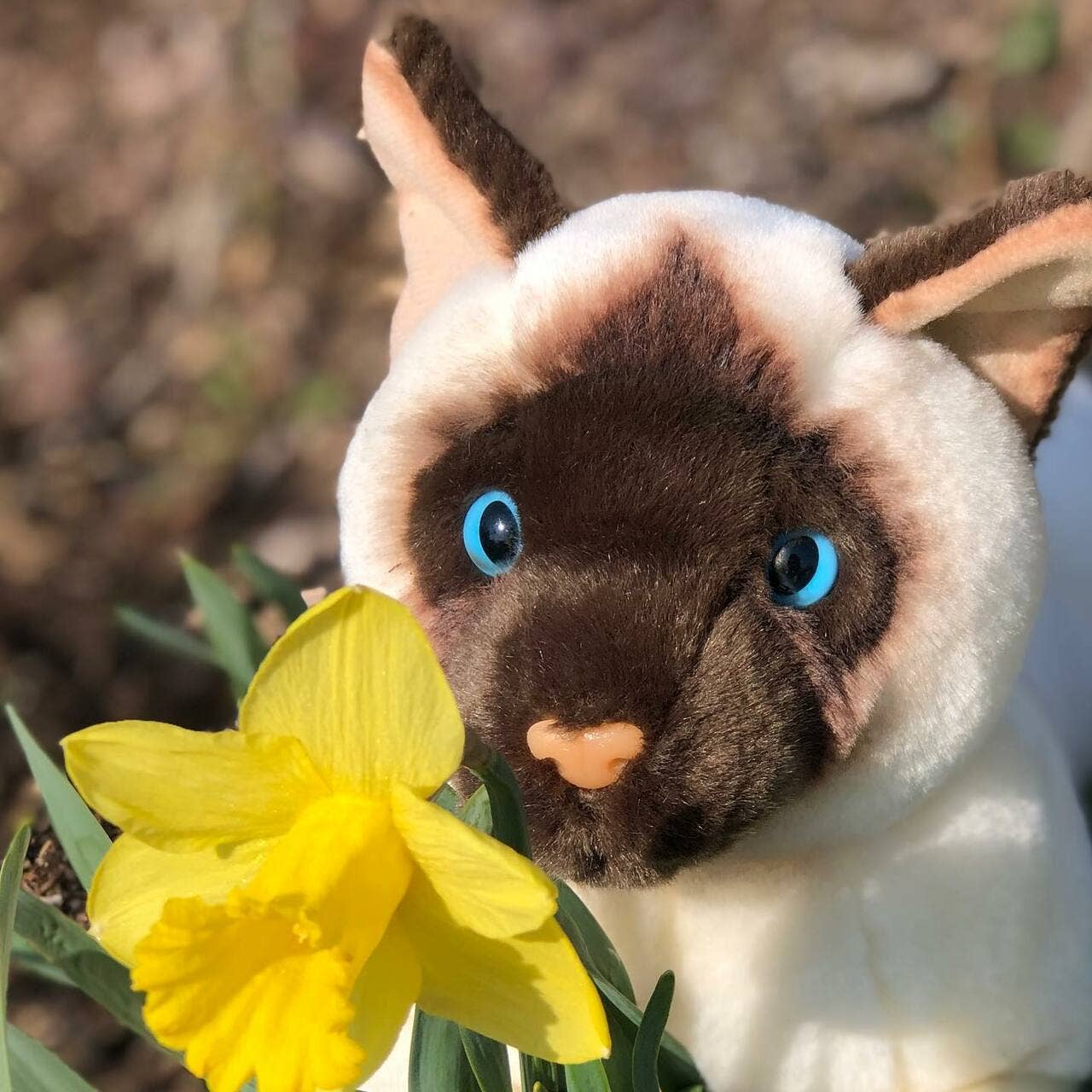 Siamese Floppy Plush Cat Large Size、mySite、g9winljtr