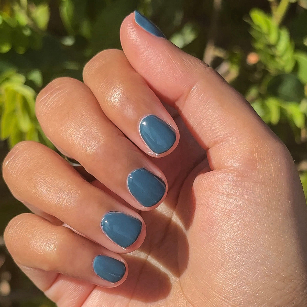 Bodysuit、mySite、solidvoid