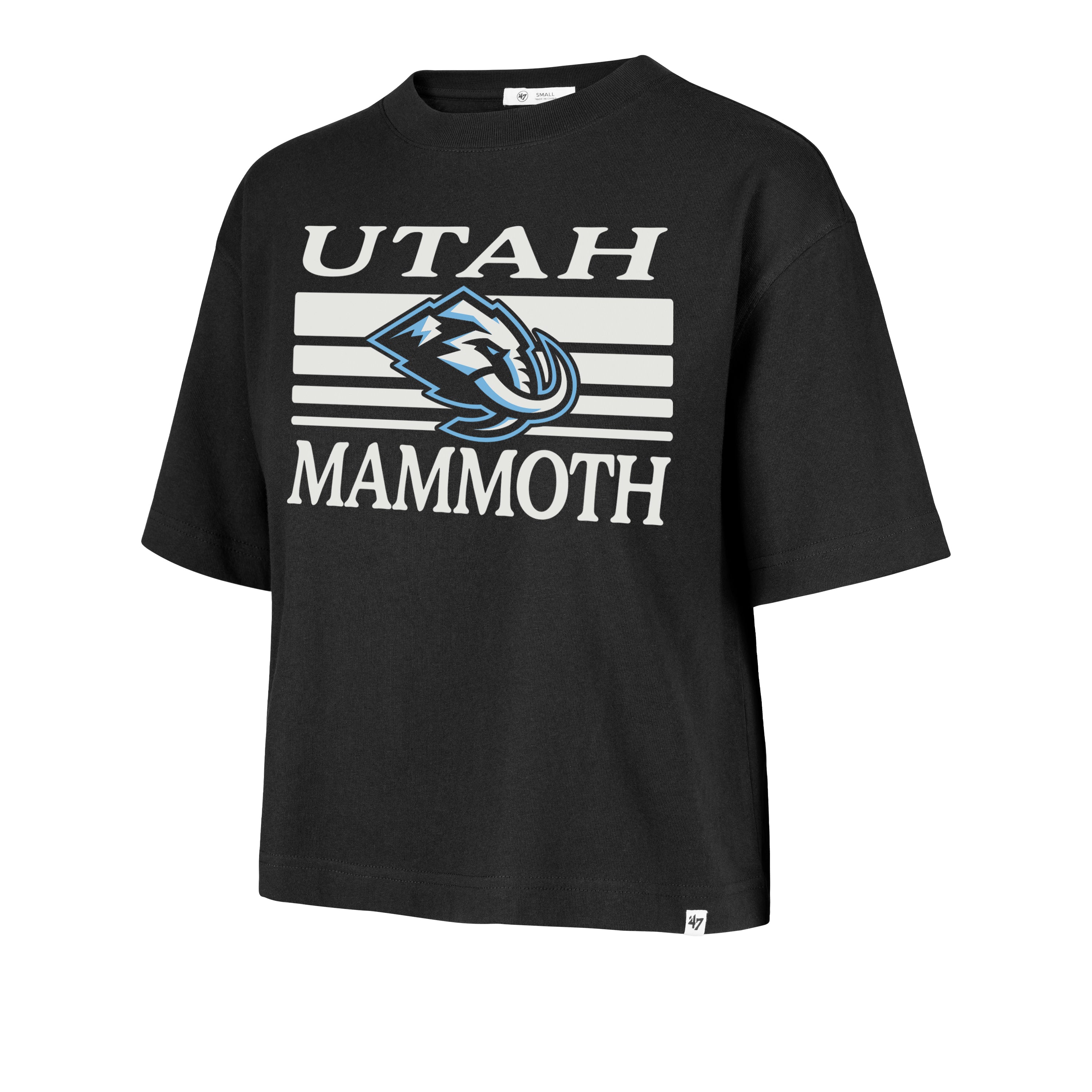 UTAH MAMMOTH GO TEAM REED '47 CITY TEE WOMENS、mySite、shUTAH MAMMOTH GO TEAM REED '47 CITY TEE WOMENS、mySite、glenpowelloop_name