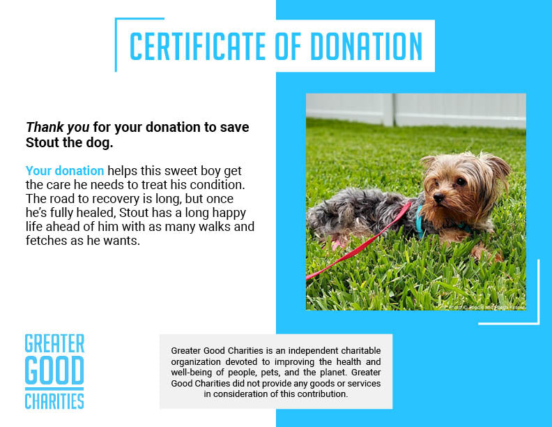 Funded: Support Stout��s Healing After a Hard Life、mySite、camillekostekn