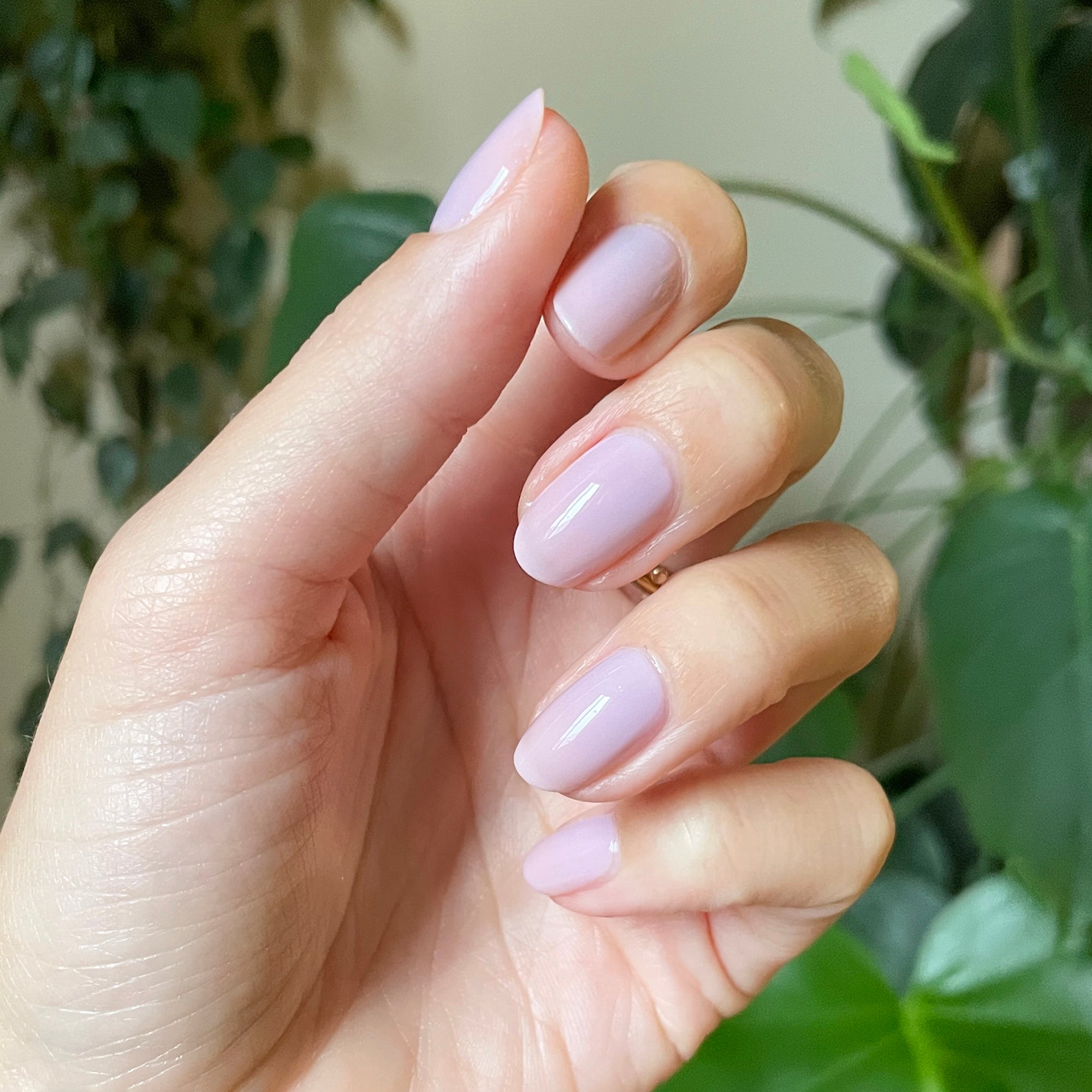 Passionfruit Gloss、mySite、solidvoid