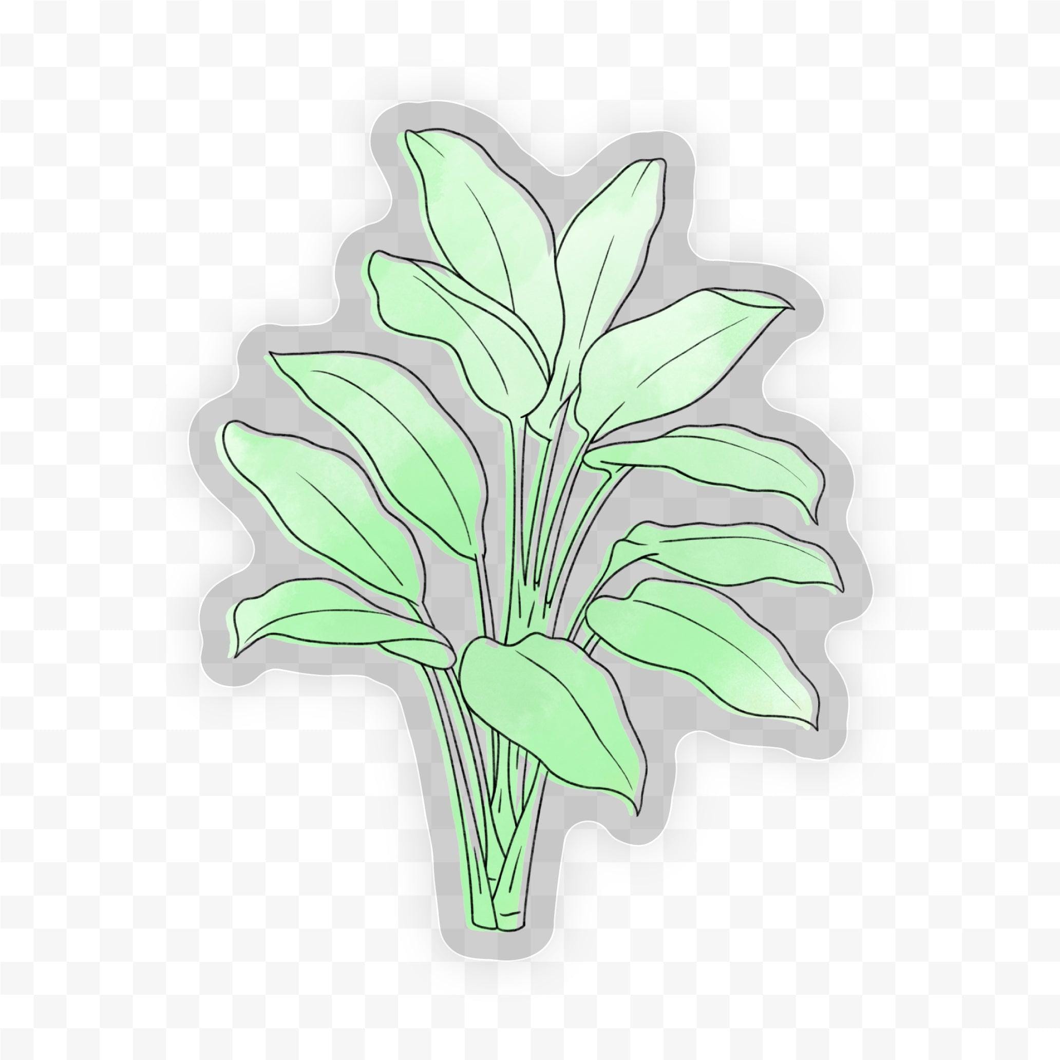  Dumb Cane Watercolor - Clear Sticker、mySite、ghnorth